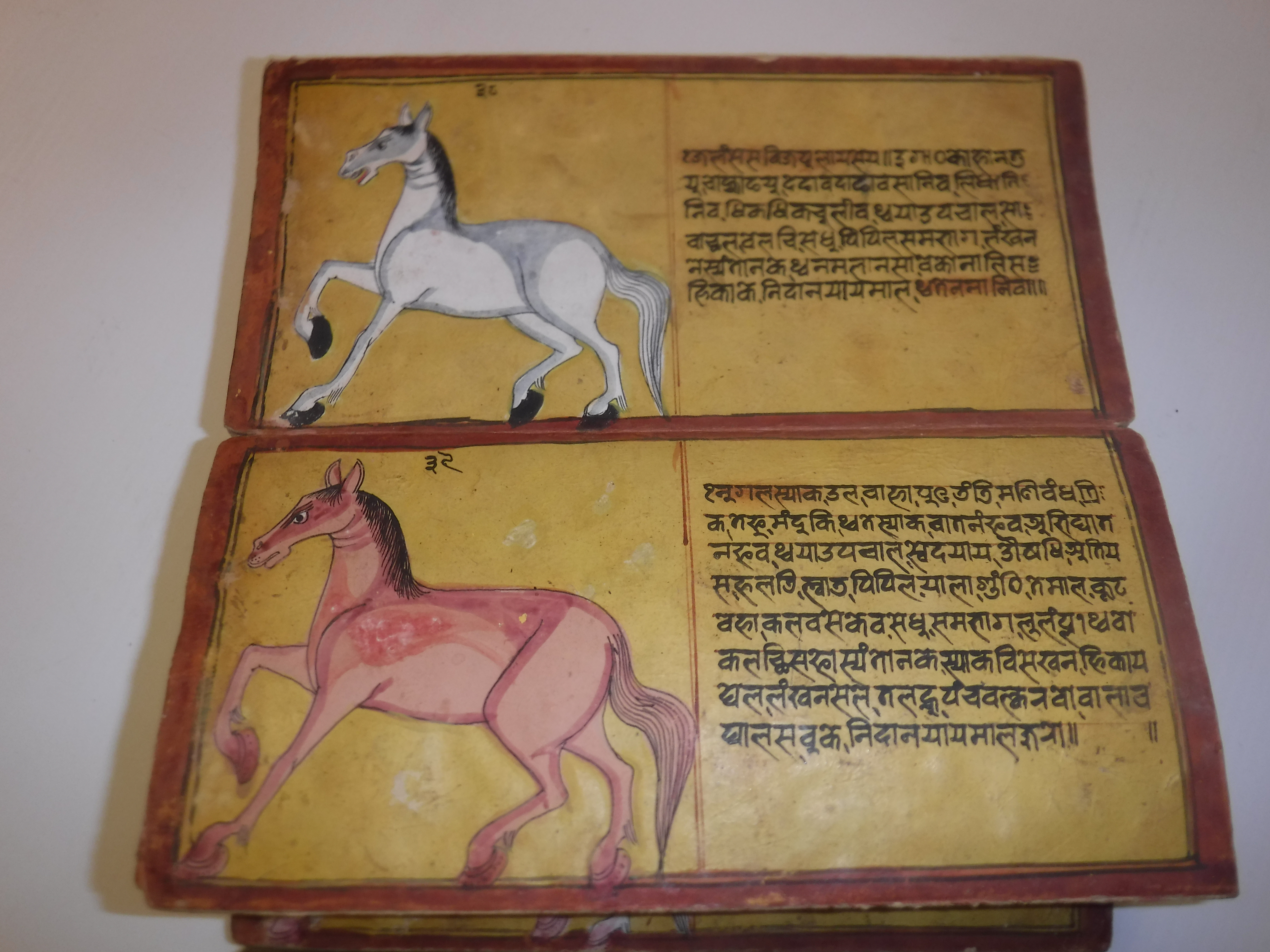 An 18th Century Nepalese Asvasastra or Treatise on the Nature and Illnesses of Horses, Leporello - Image 32 of 72