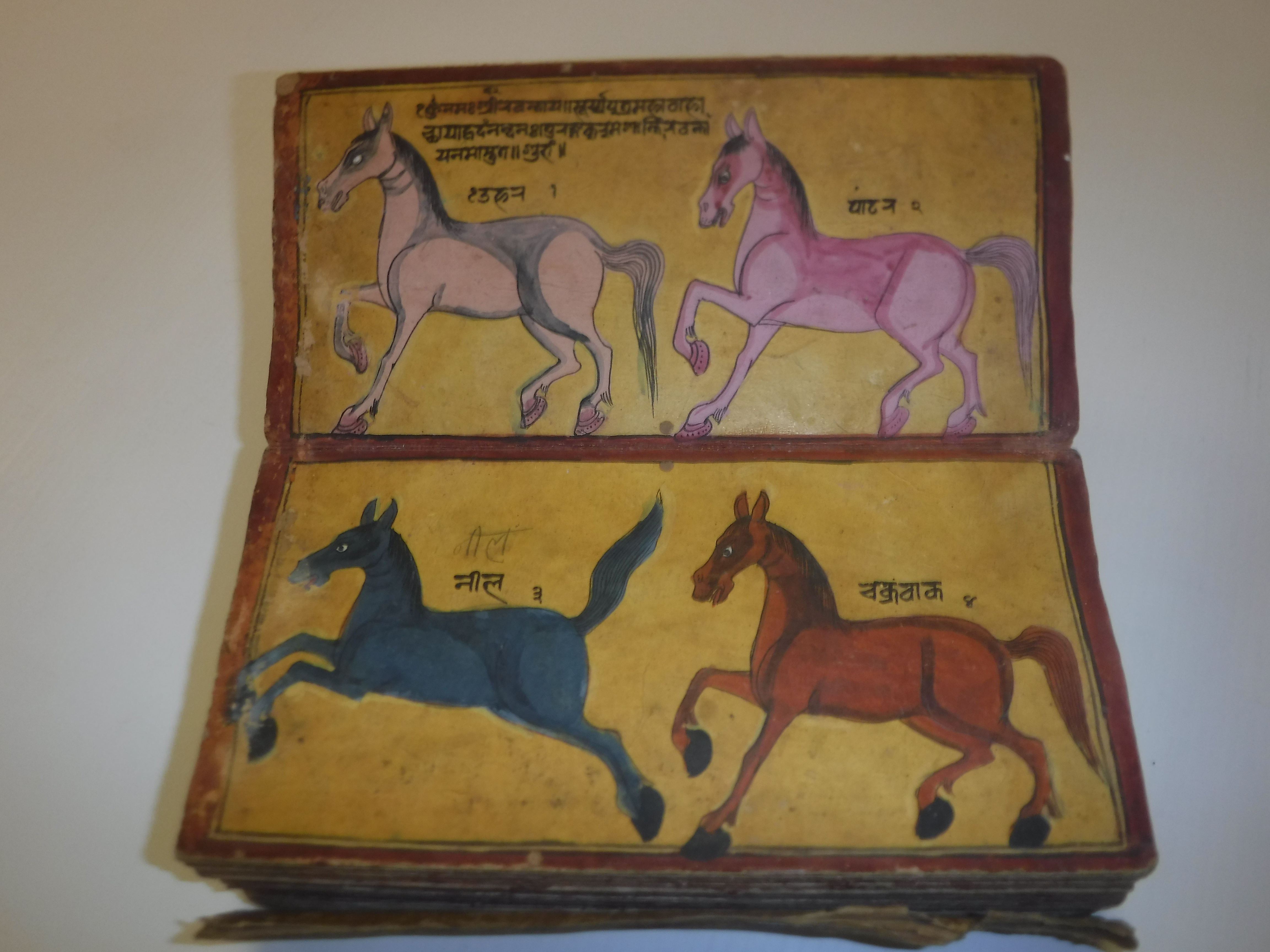 An 18th Century Nepalese Asvasastra or Treatise on the Nature and Illnesses of Horses, Leporello - Image 3 of 72