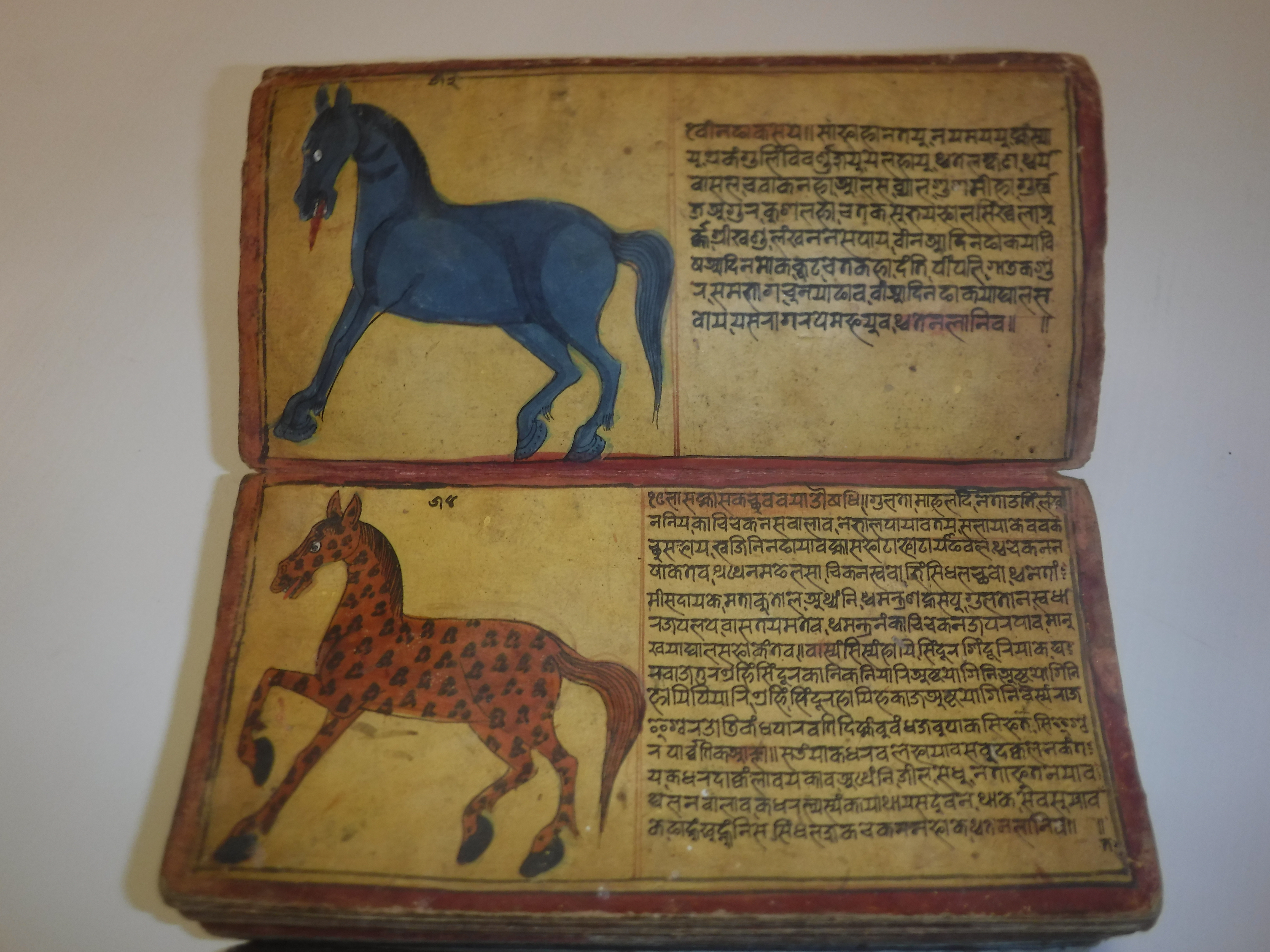 An 18th Century Nepalese Asvasastra or Treatise on the Nature and Illnesses of Horses, Leporello - Image 40 of 72