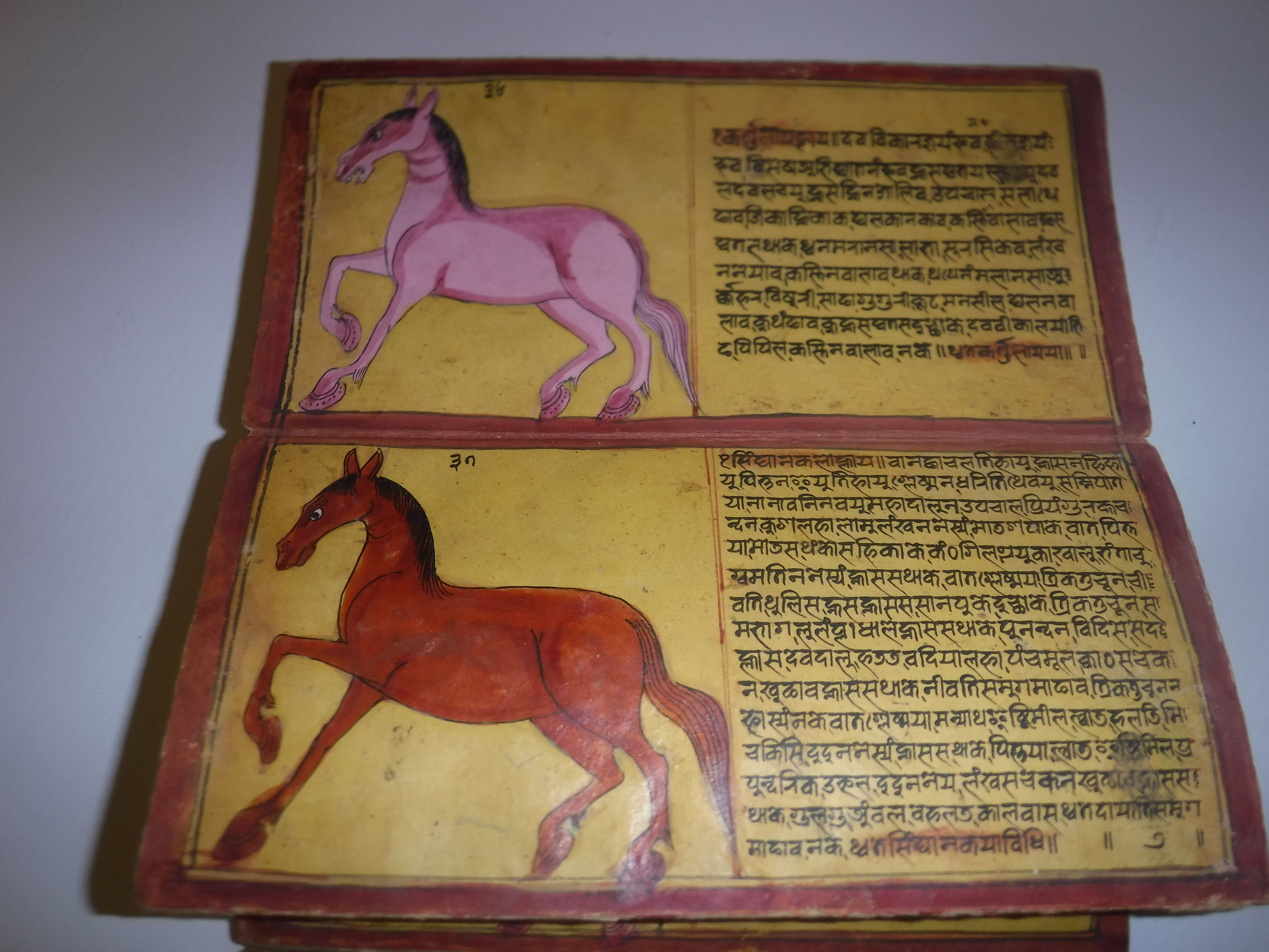 An 18th Century Nepalese Asvasastra or Treatise on the Nature and Illnesses of Horses, Leporello - Image 31 of 72