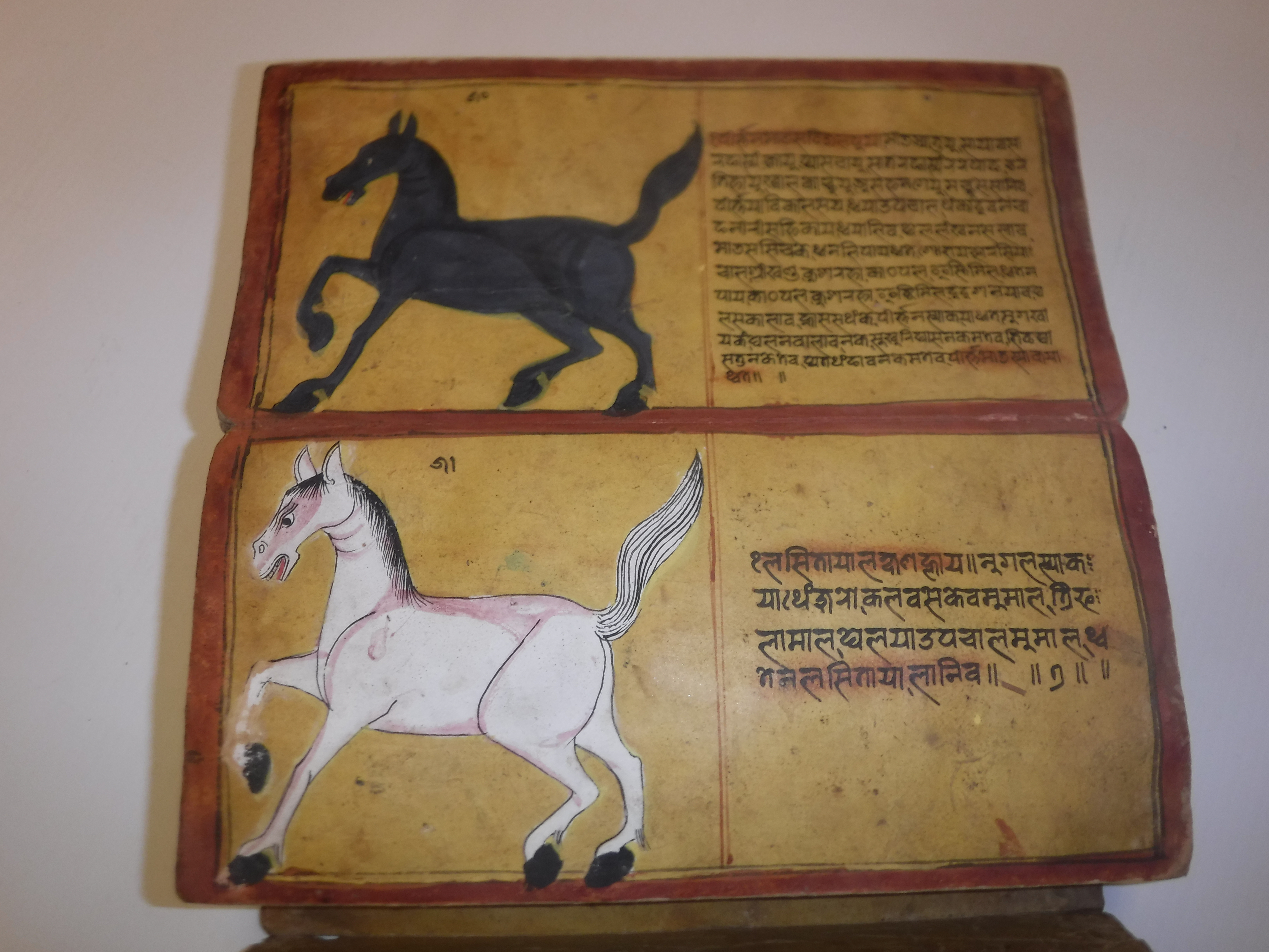 An 18th Century Nepalese Asvasastra or Treatise on the Nature and Illnesses of Horses, Leporello - Image 38 of 72