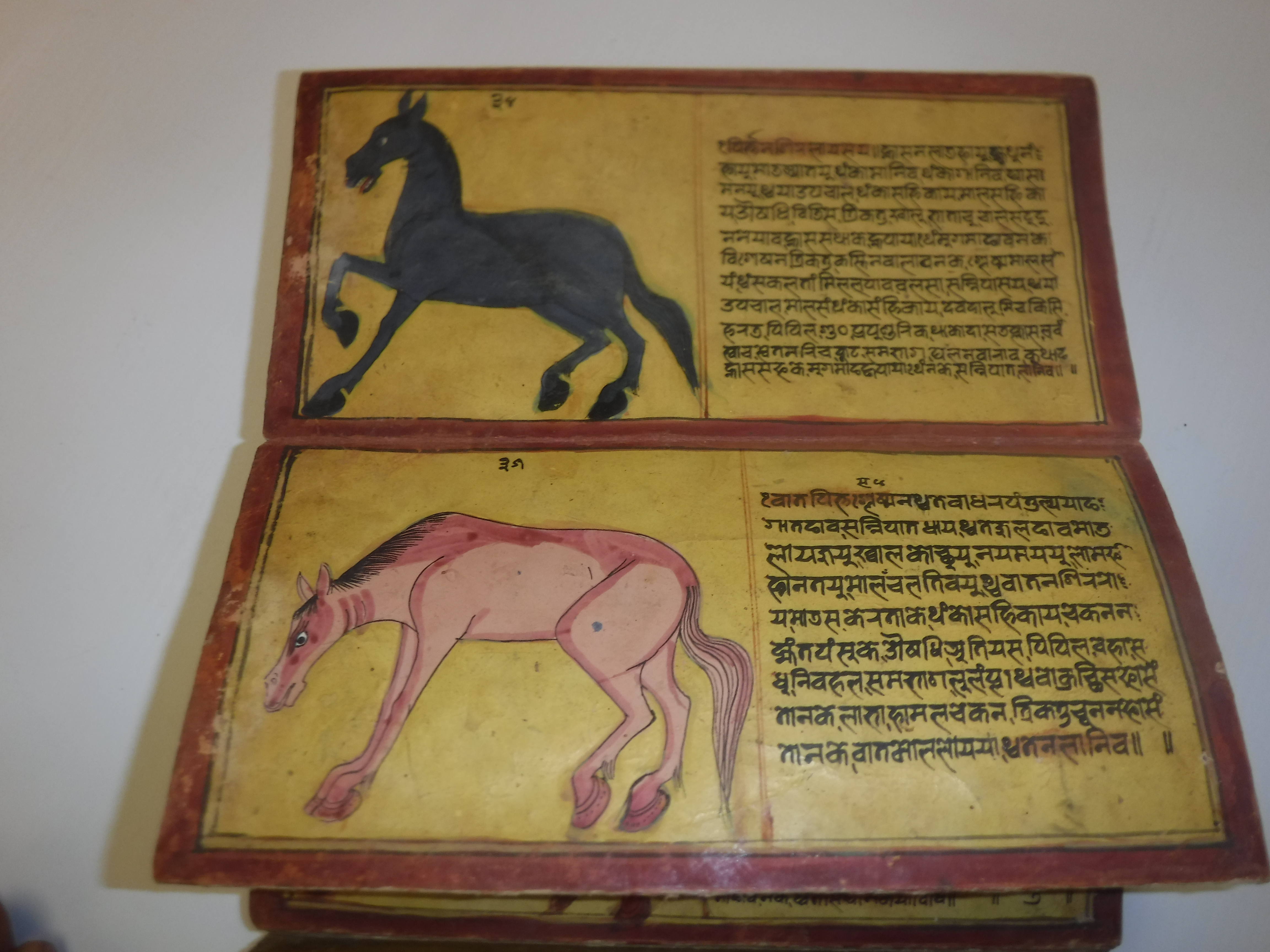 An 18th Century Nepalese Asvasastra or Treatise on the Nature and Illnesses of Horses, Leporello - Image 30 of 72