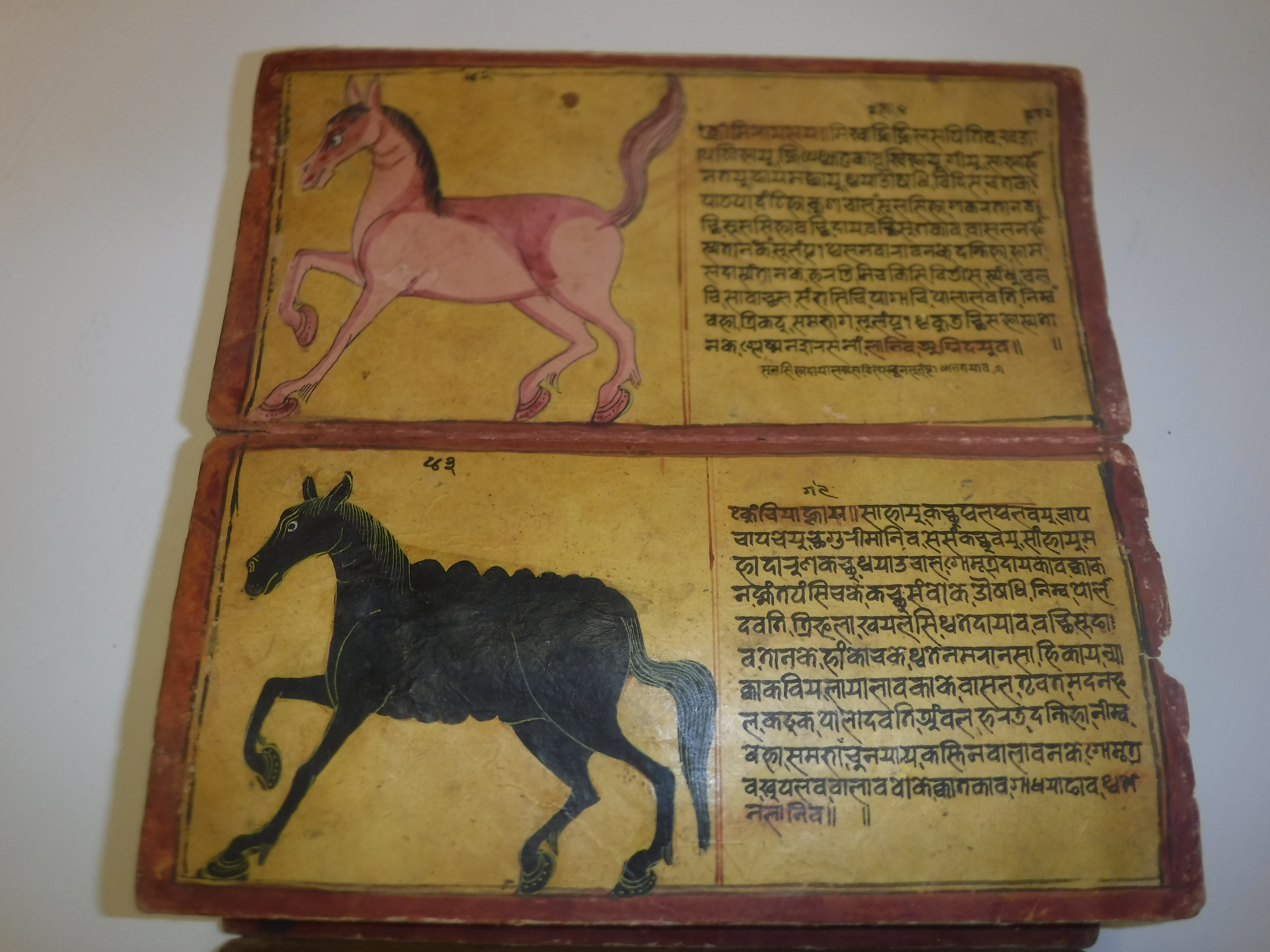 An 18th Century Nepalese Asvasastra or Treatise on the Nature and Illnesses of Horses, Leporello - Image 34 of 72