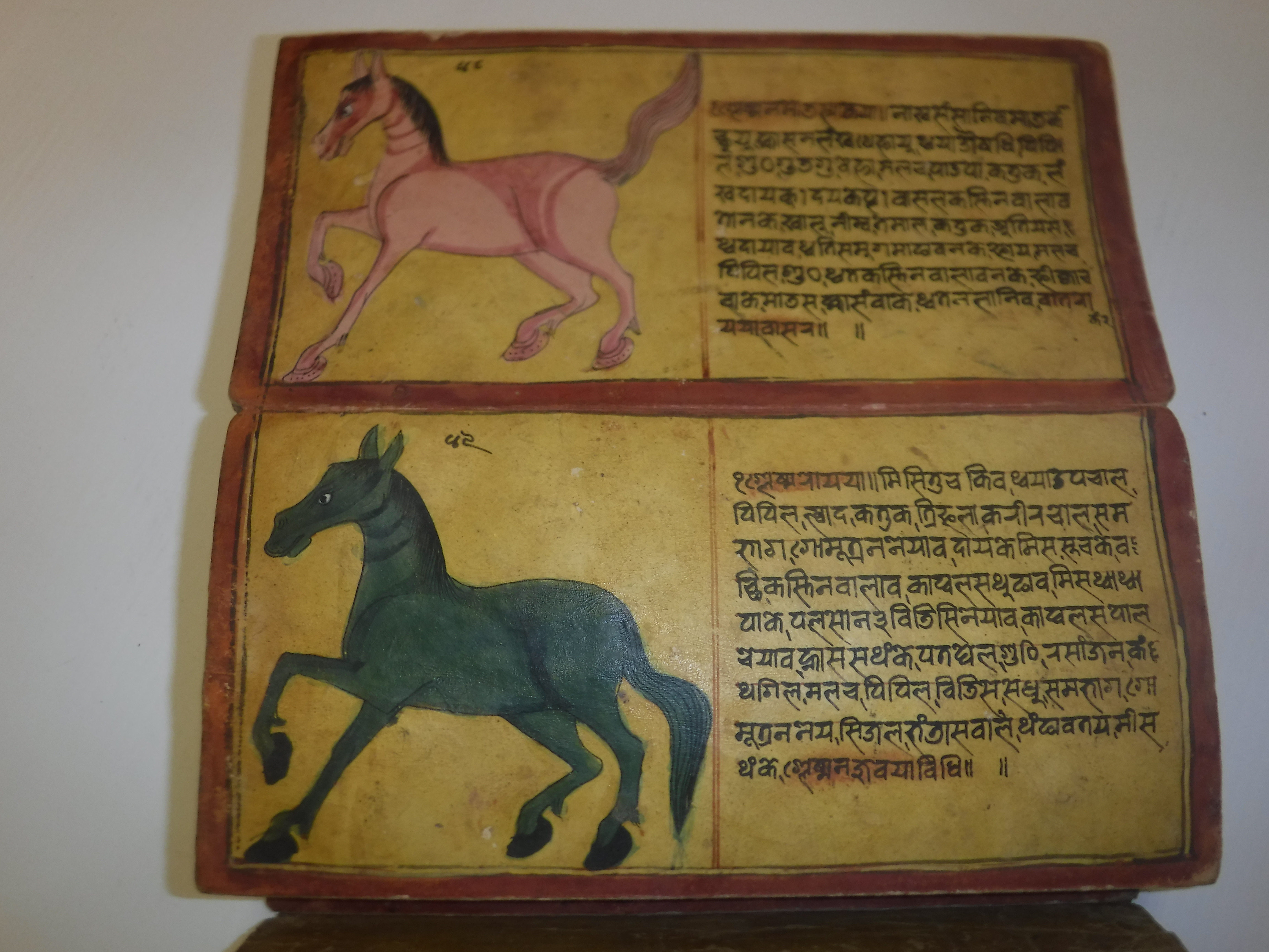 An 18th Century Nepalese Asvasastra or Treatise on the Nature and Illnesses of Horses, Leporello - Image 37 of 72