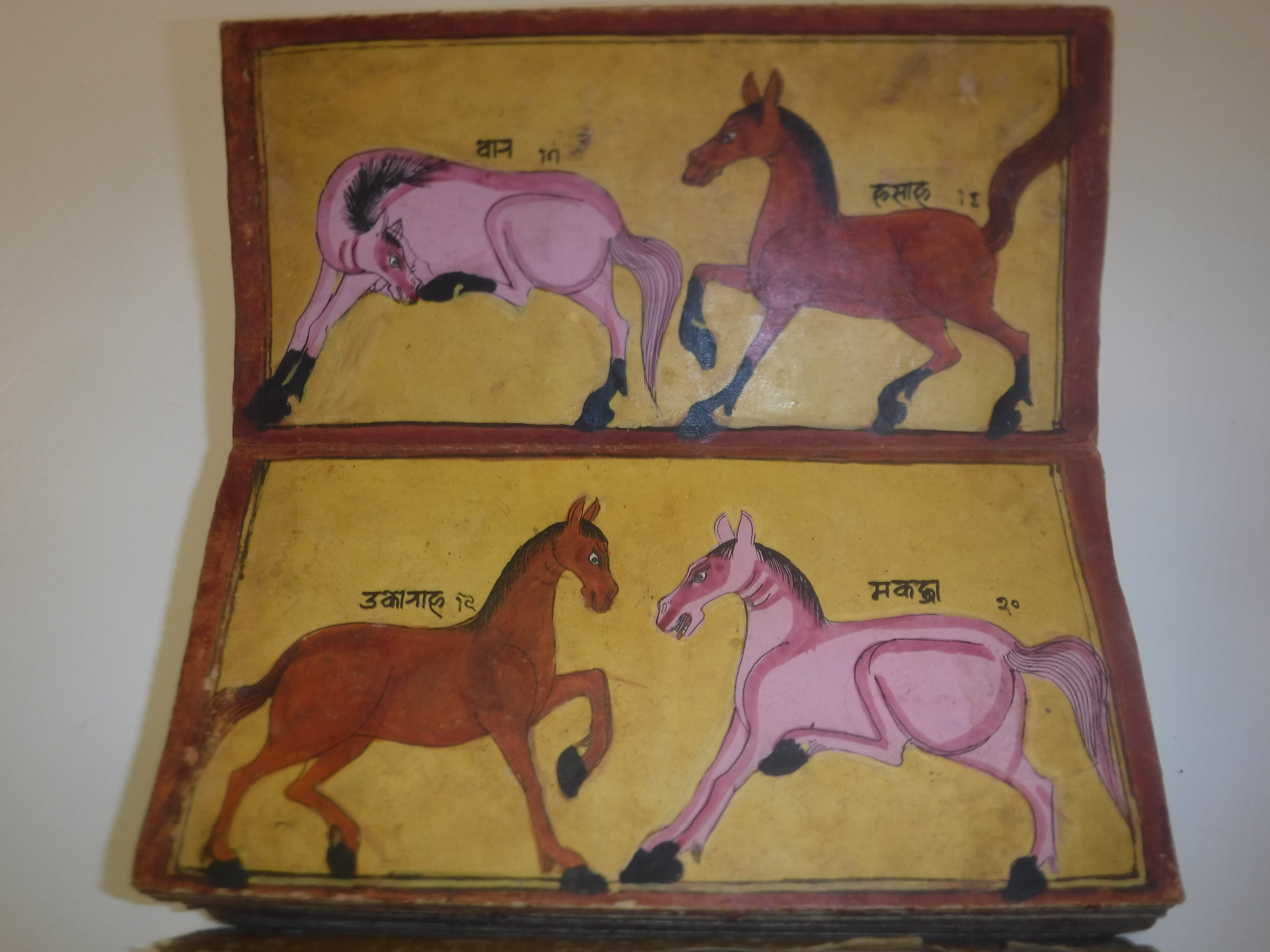 An 18th Century Nepalese Asvasastra or Treatise on the Nature and Illnesses of Horses, Leporello - Image 7 of 72