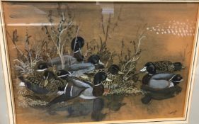 CHARLE FREDERICK TUNNICLIFFE “Mallards resting”, watercolour heightened with white, signed lower