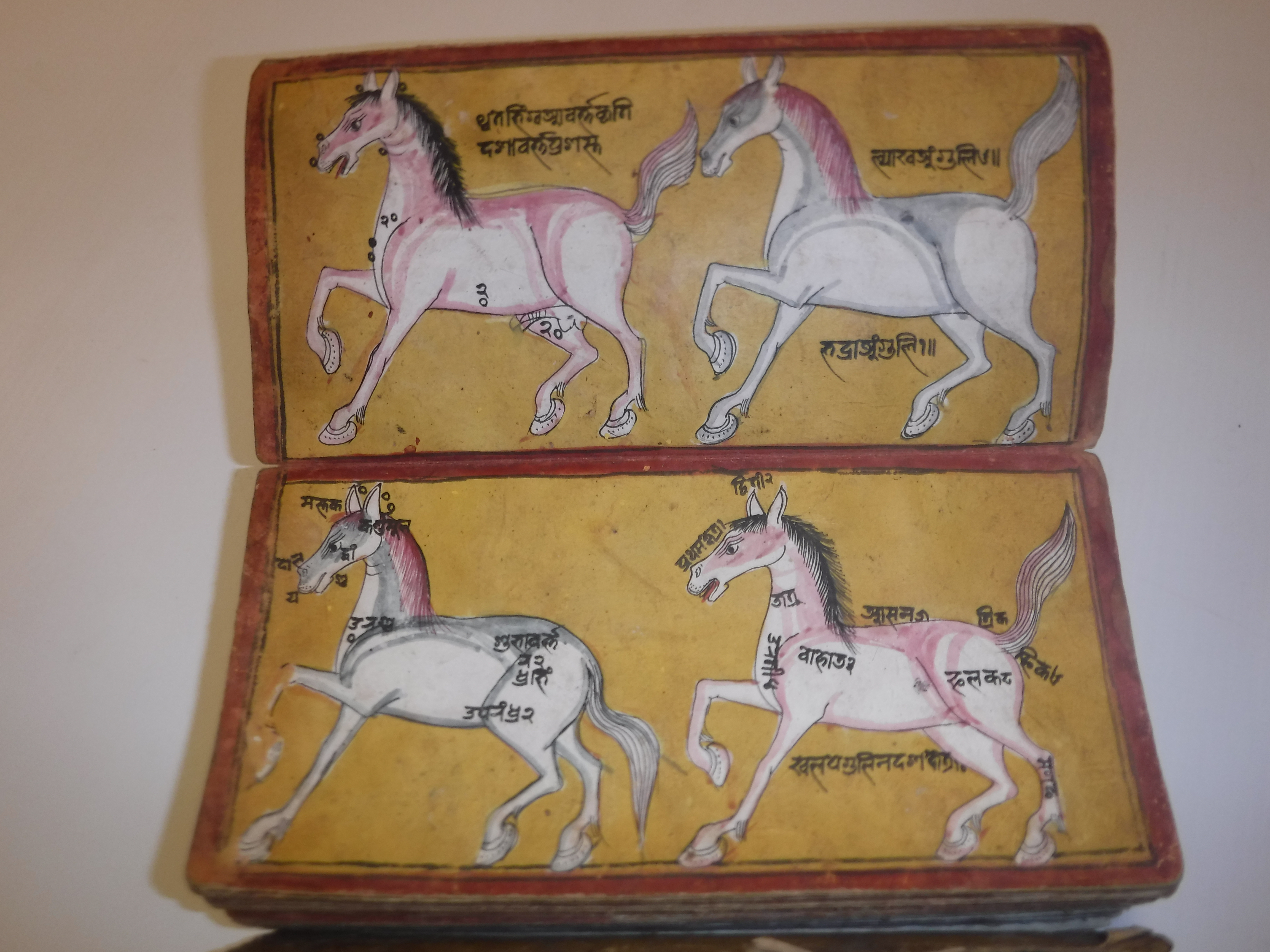 An 18th Century Nepalese Asvasastra or Treatise on the Nature and Illnesses of Horses, Leporello - Image 41 of 72