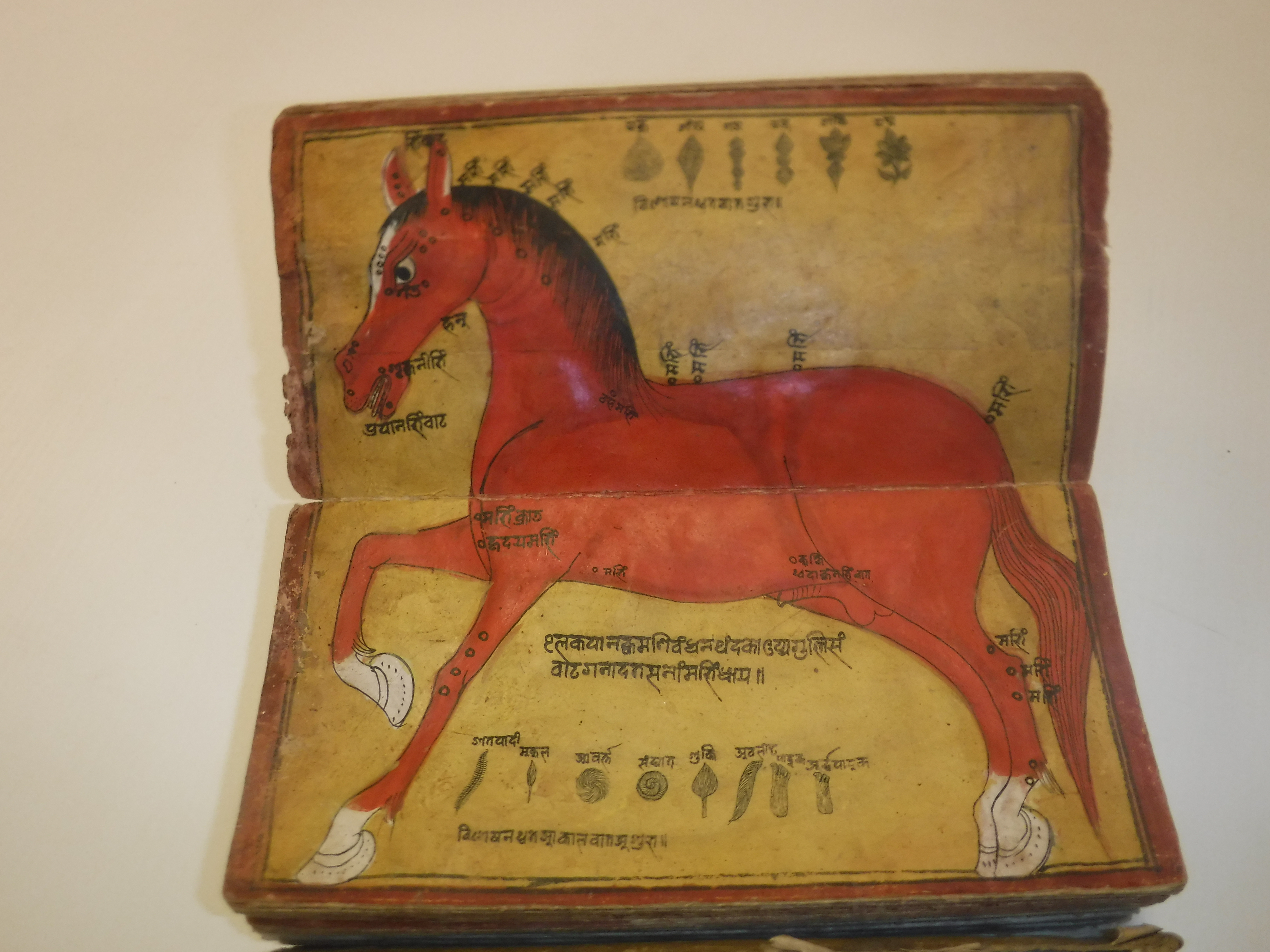 An 18th Century Nepalese Asvasastra or Treatise on the Nature and Illnesses of Horses, Leporello - Image 46 of 72
