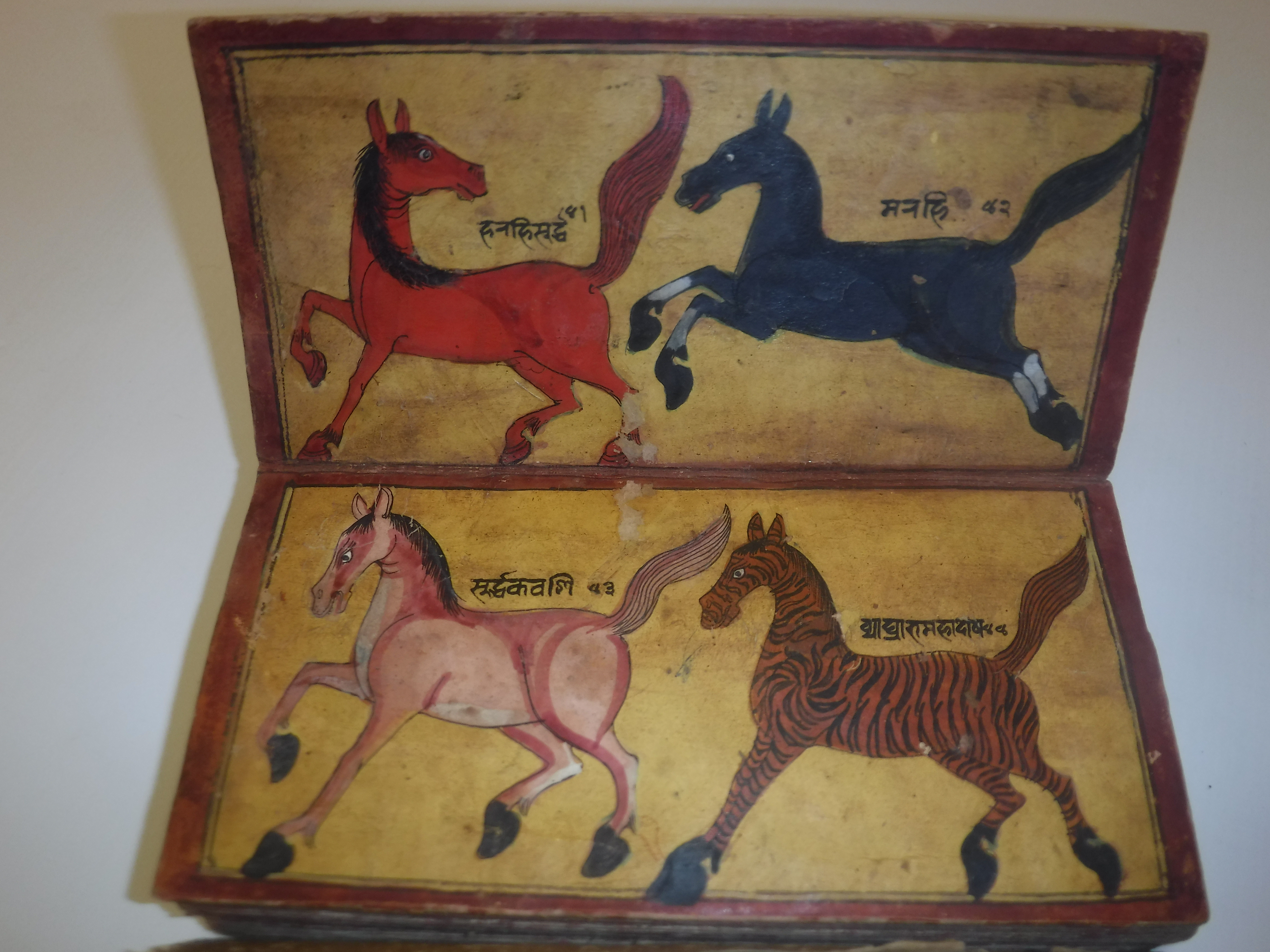 An 18th Century Nepalese Asvasastra or Treatise on the Nature and Illnesses of Horses, Leporello - Image 13 of 72