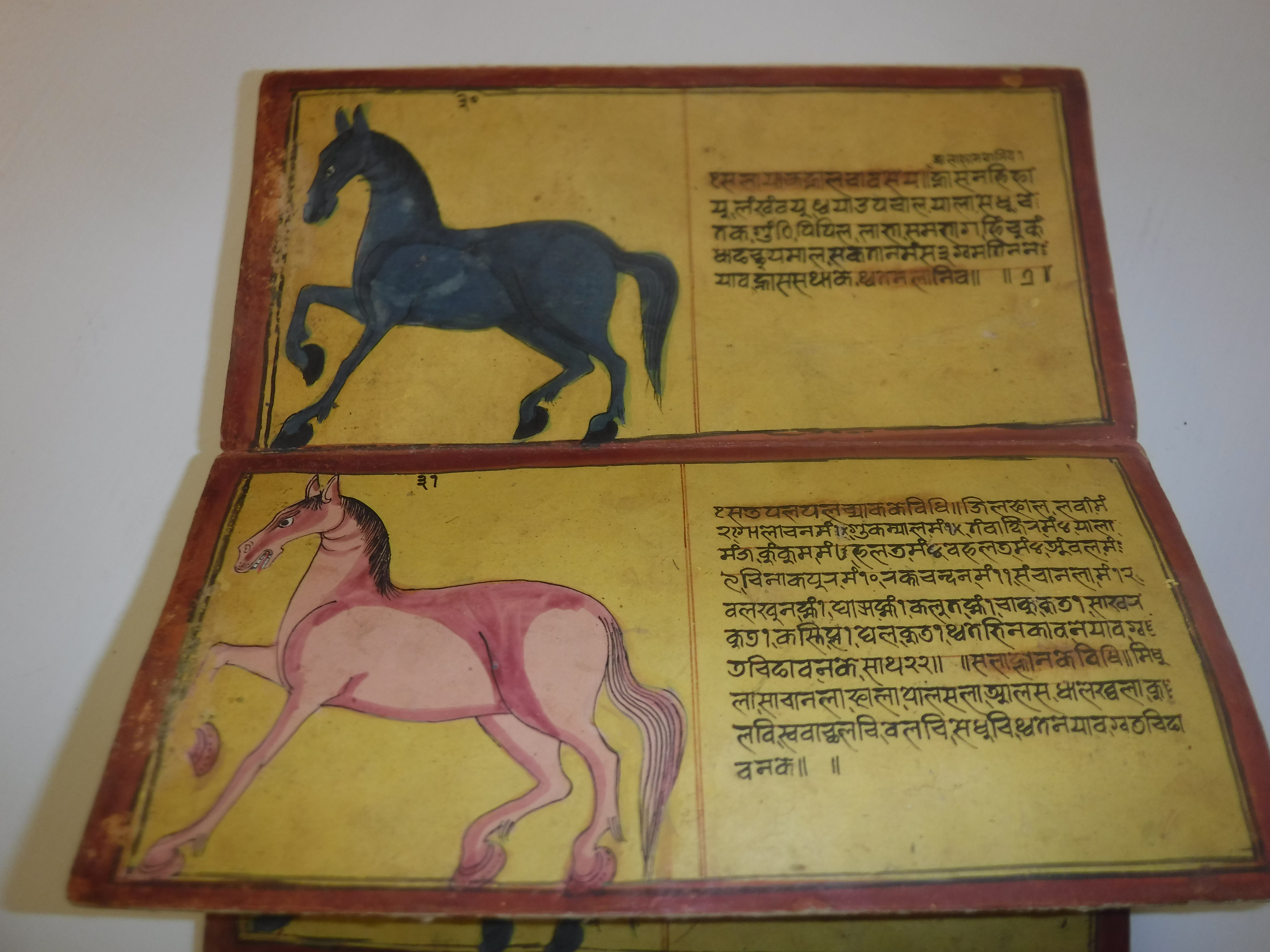 An 18th Century Nepalese Asvasastra or Treatise on the Nature and Illnesses of Horses, Leporello - Image 28 of 72