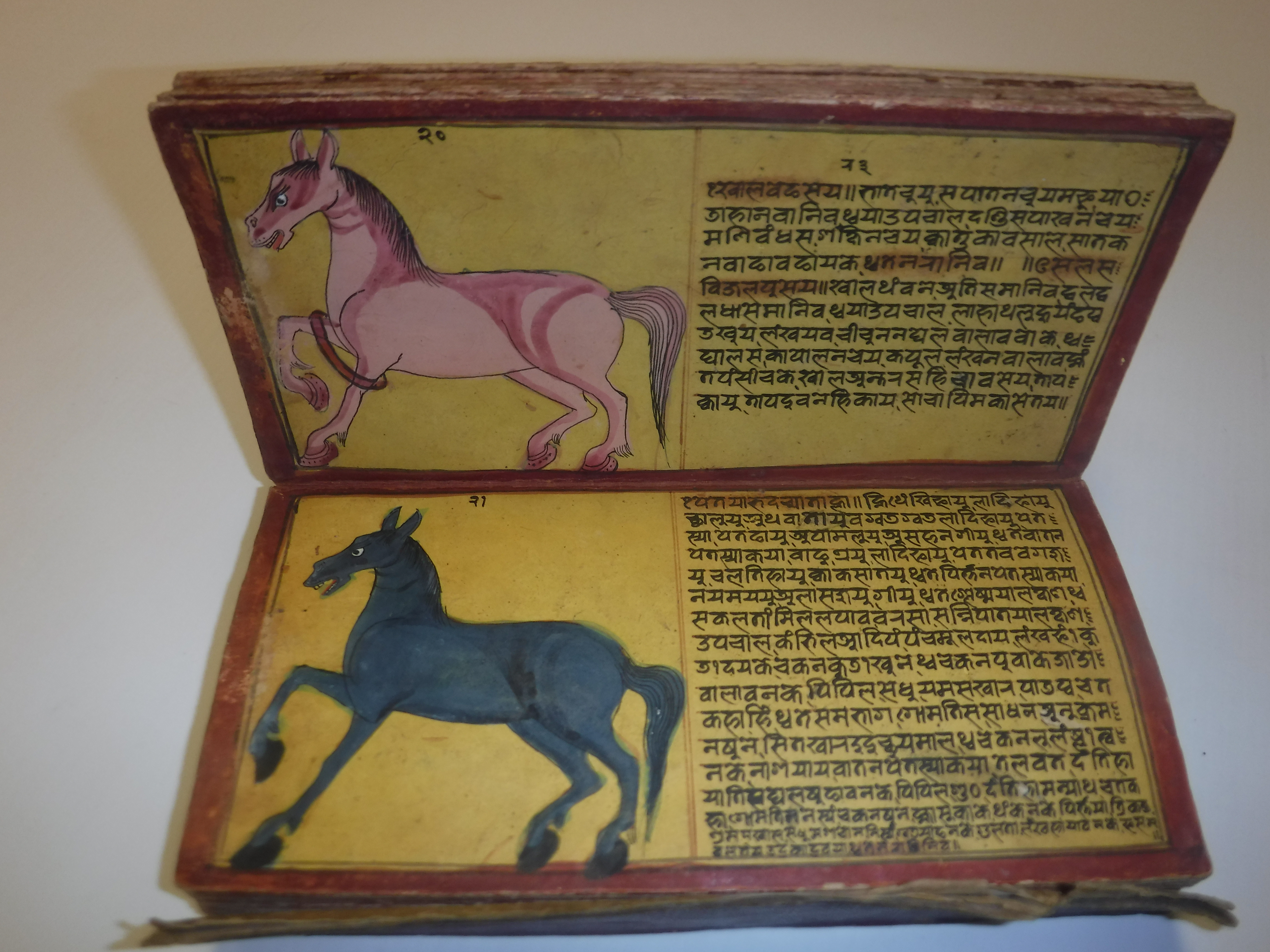 An 18th Century Nepalese Asvasastra or Treatise on the Nature and Illnesses of Horses, Leporello - Image 23 of 72