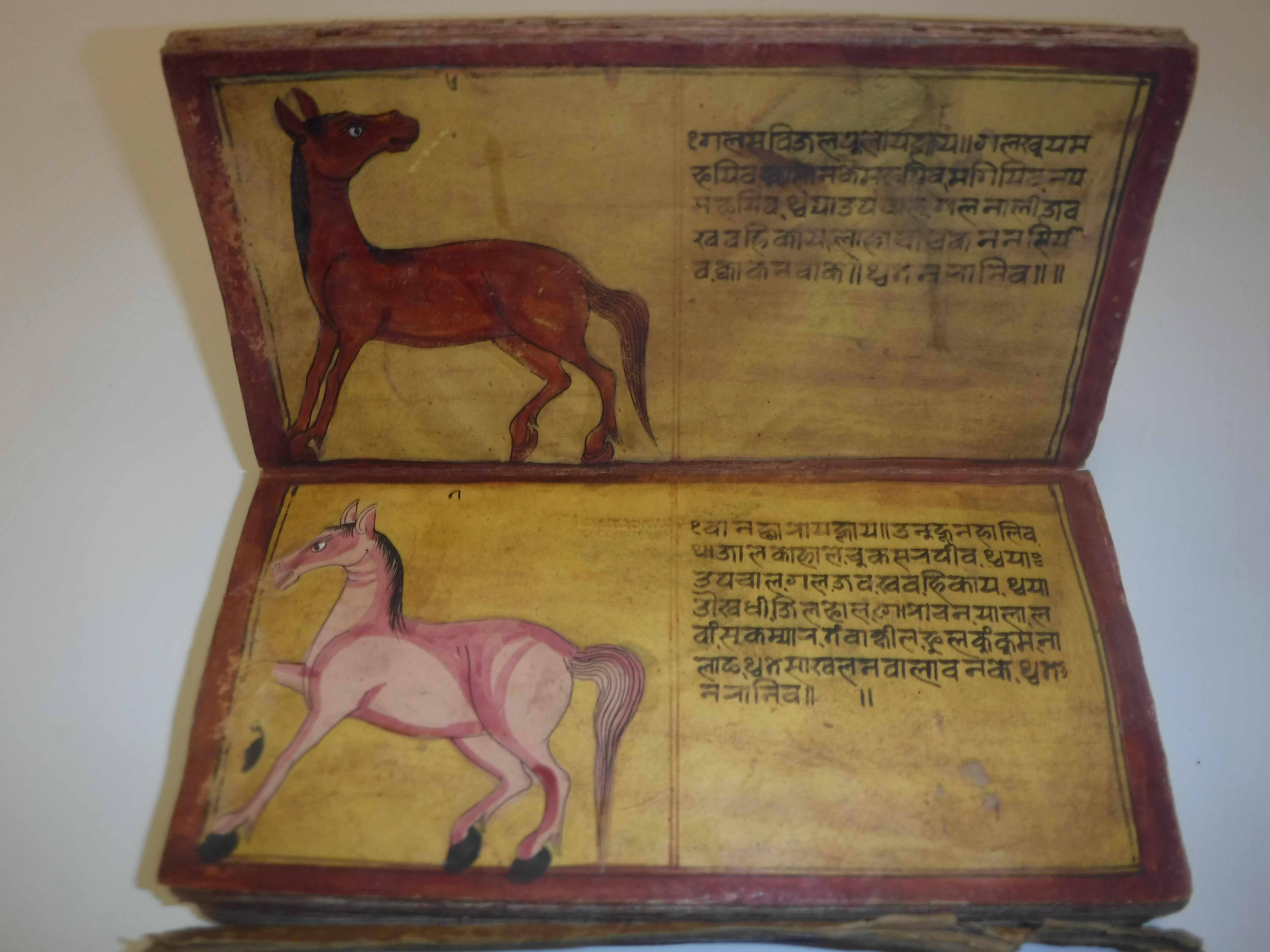 An 18th Century Nepalese Asvasastra or Treatise on the Nature and Illnesses of Horses, Leporello - Image 17 of 72