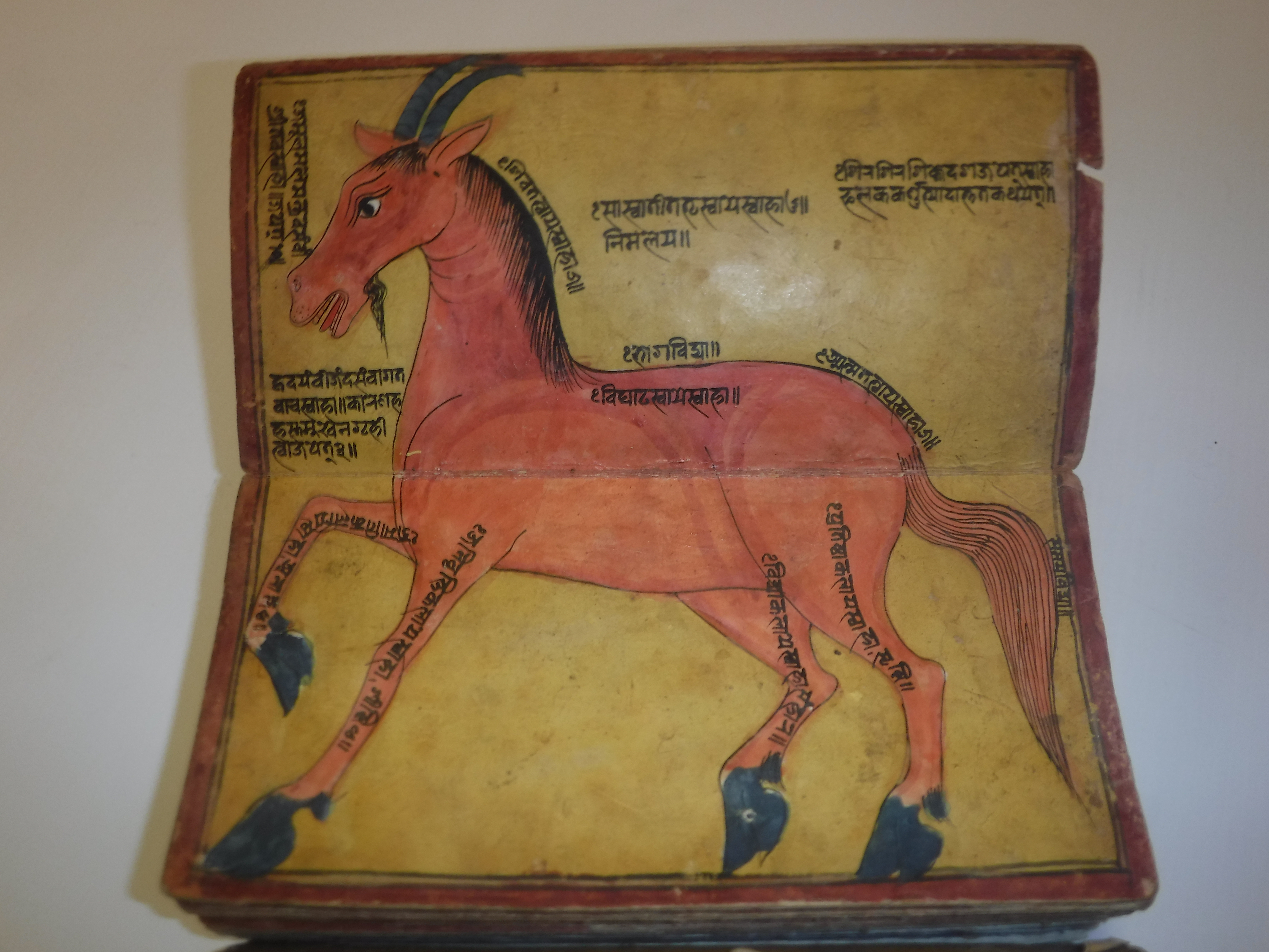 An 18th Century Nepalese Asvasastra or Treatise on the Nature and Illnesses of Horses, Leporello - Image 43 of 72