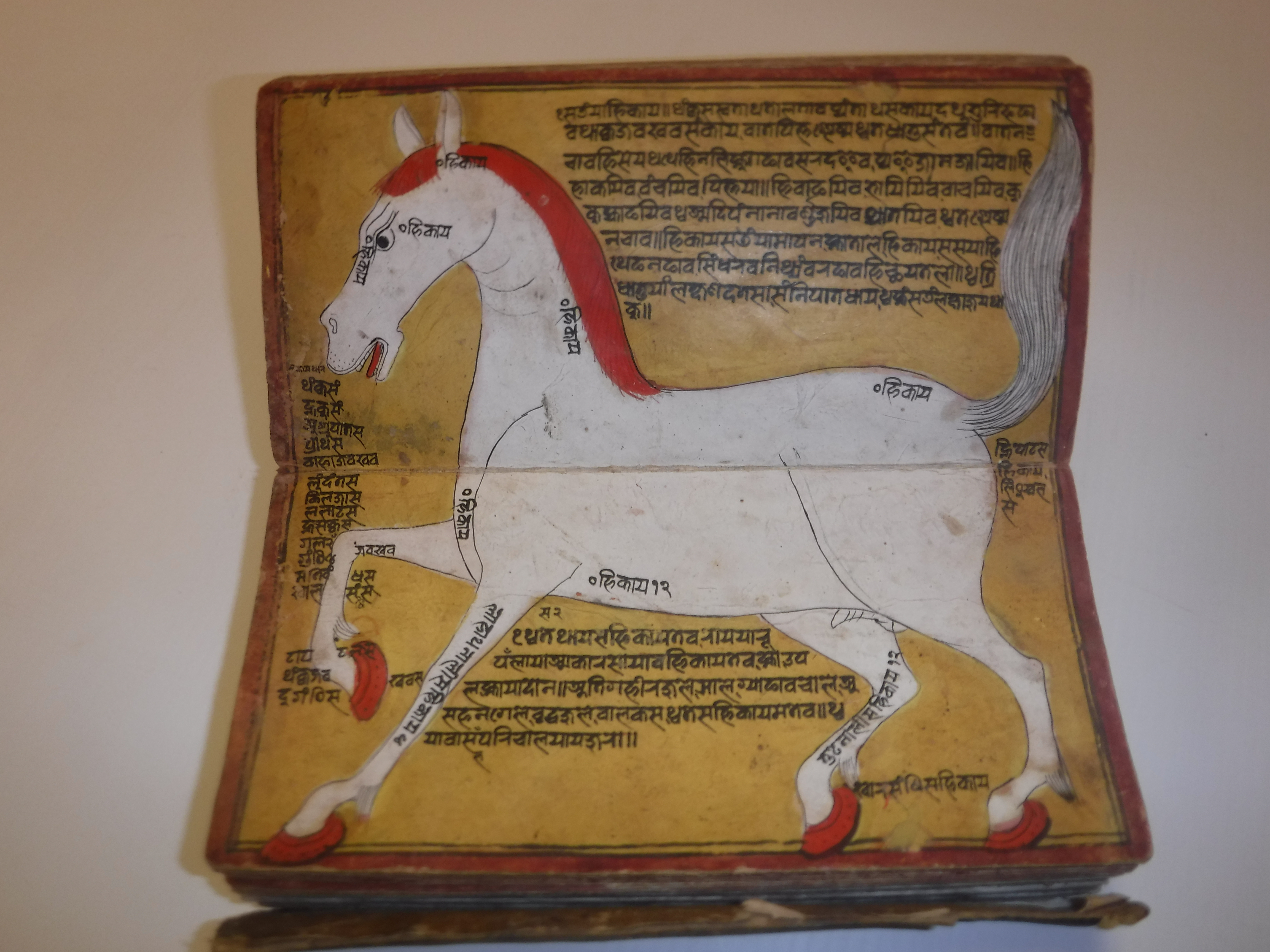 An 18th Century Nepalese Asvasastra or Treatise on the Nature and Illnesses of Horses, Leporello - Image 47 of 72