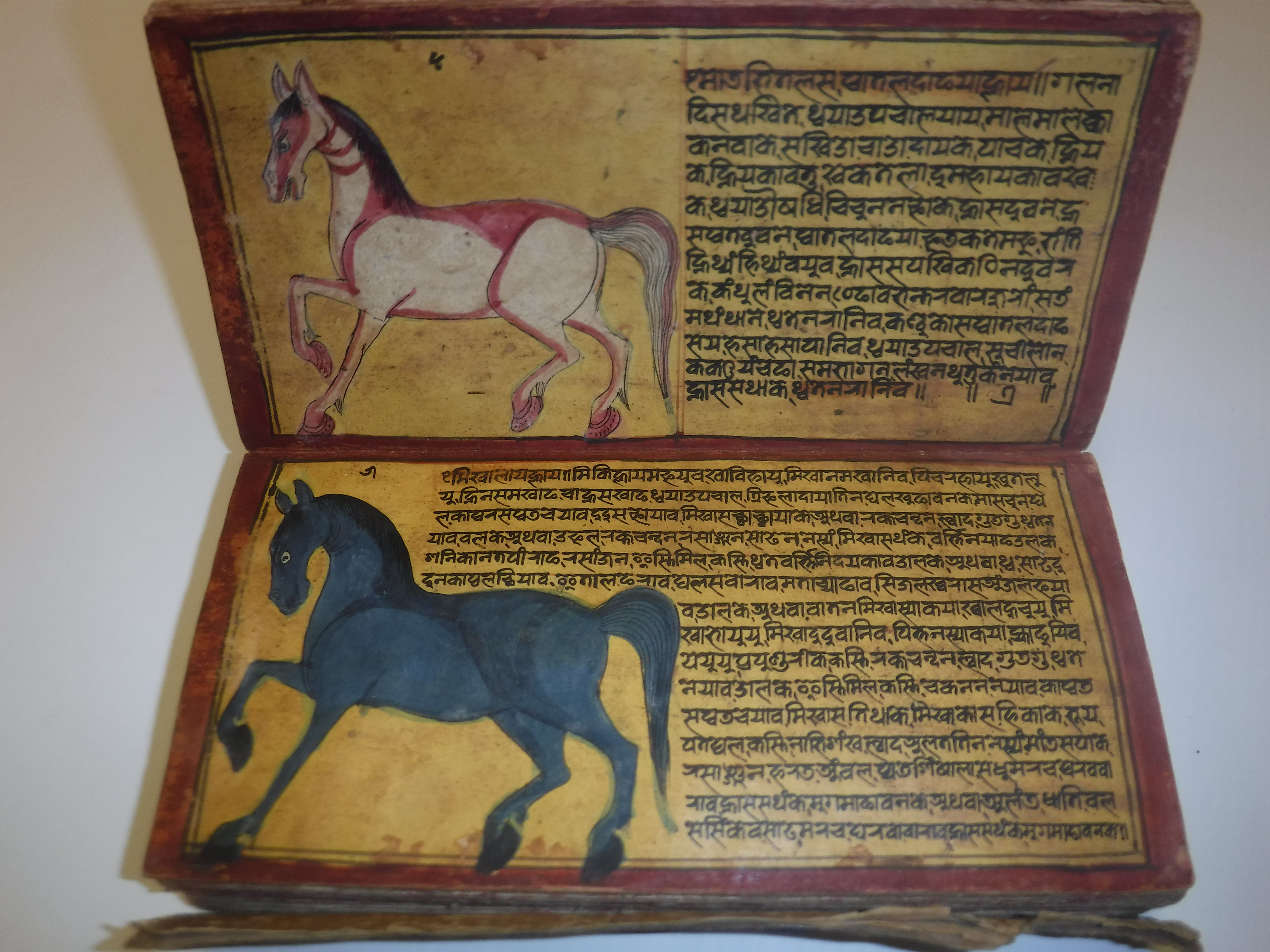 An 18th Century Nepalese Asvasastra or Treatise on the Nature and Illnesses of Horses, Leporello - Image 16 of 72