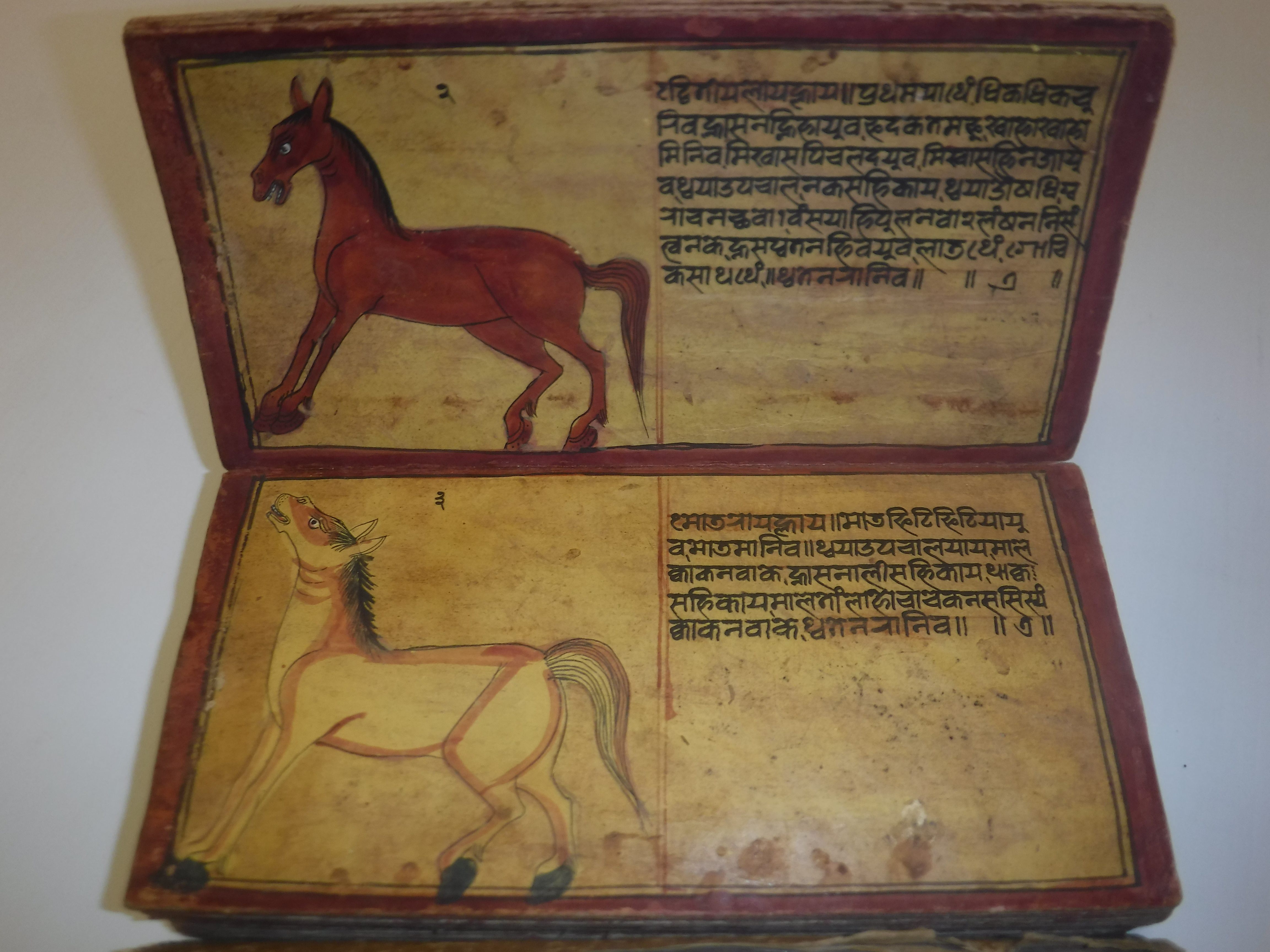 An 18th Century Nepalese Asvasastra or Treatise on the Nature and Illnesses of Horses, Leporello - Image 15 of 72