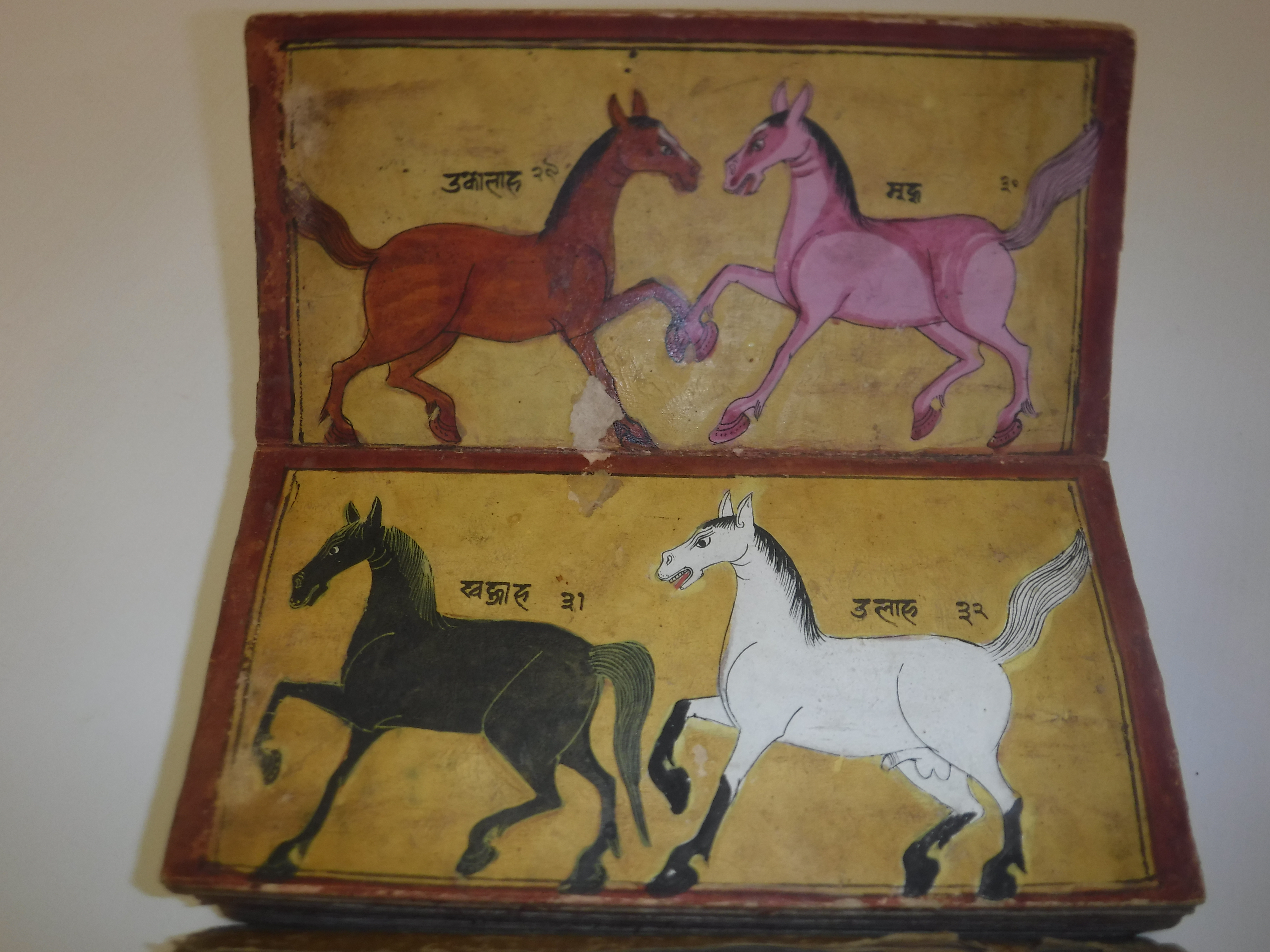 An 18th Century Nepalese Asvasastra or Treatise on the Nature and Illnesses of Horses, Leporello - Image 10 of 72