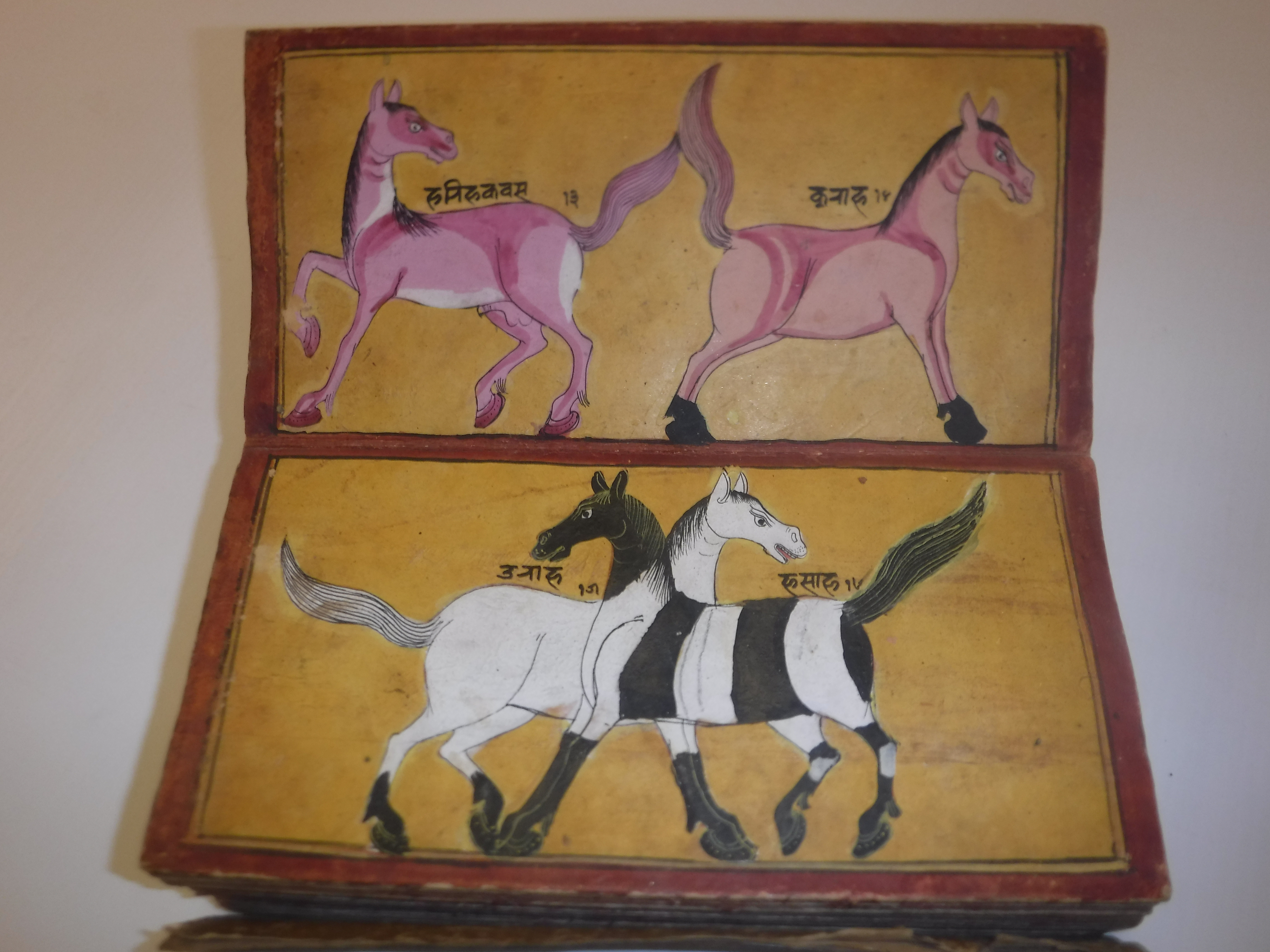 An 18th Century Nepalese Asvasastra or Treatise on the Nature and Illnesses of Horses, Leporello - Image 6 of 72