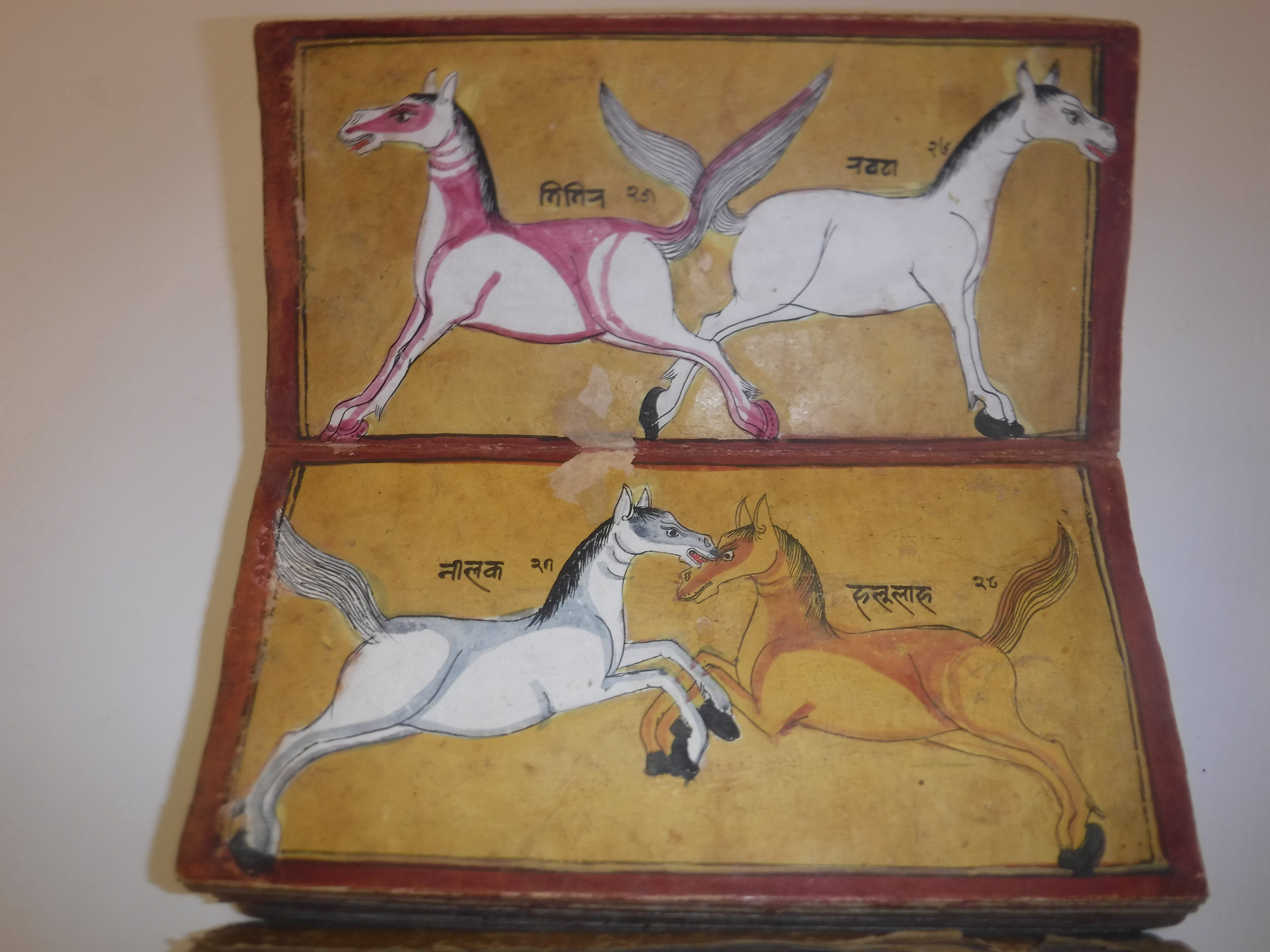 An 18th Century Nepalese Asvasastra or Treatise on the Nature and Illnesses of Horses, Leporello - Image 9 of 72