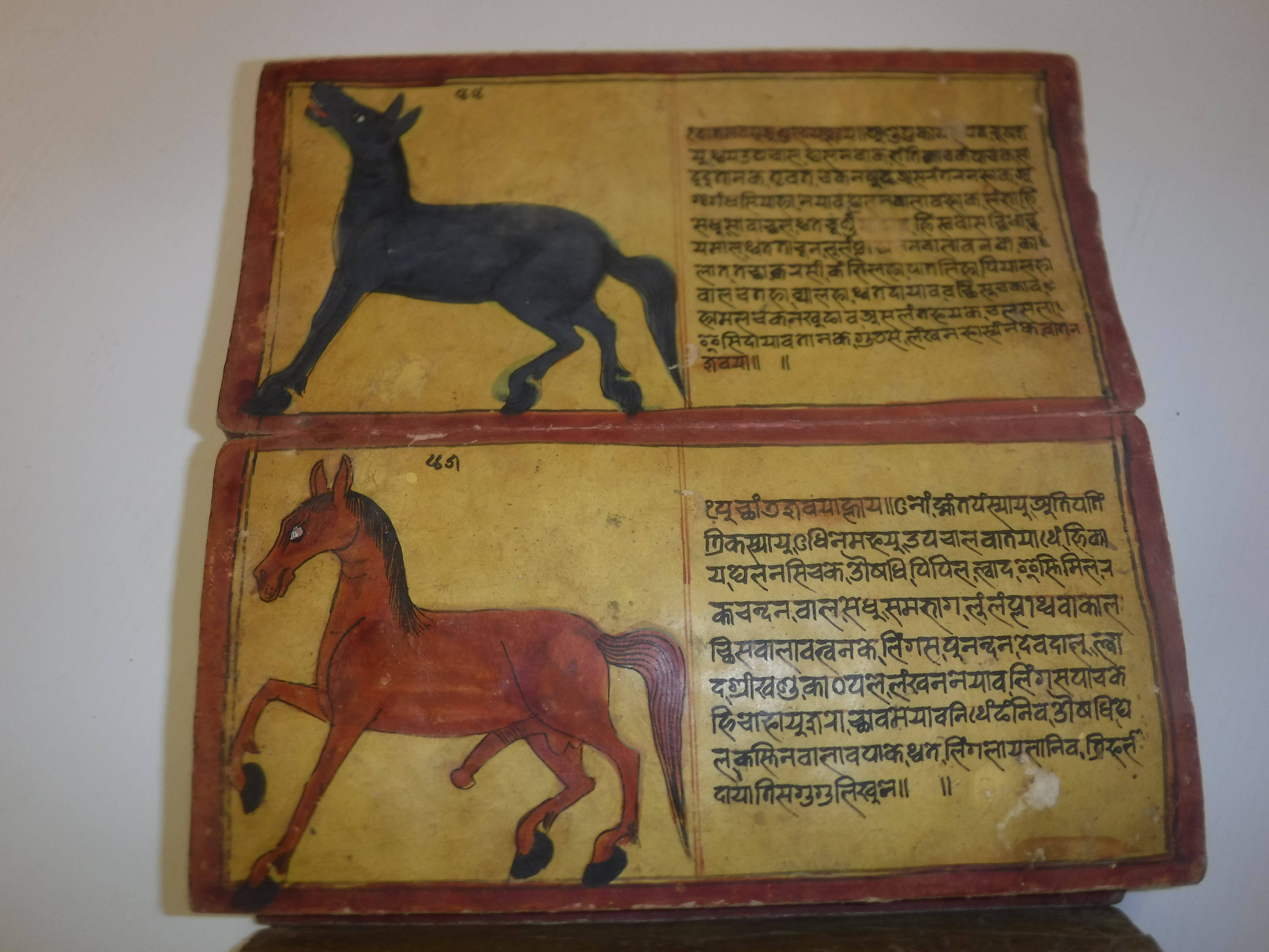 An 18th Century Nepalese Asvasastra or Treatise on the Nature and Illnesses of Horses, Leporello - Image 35 of 72