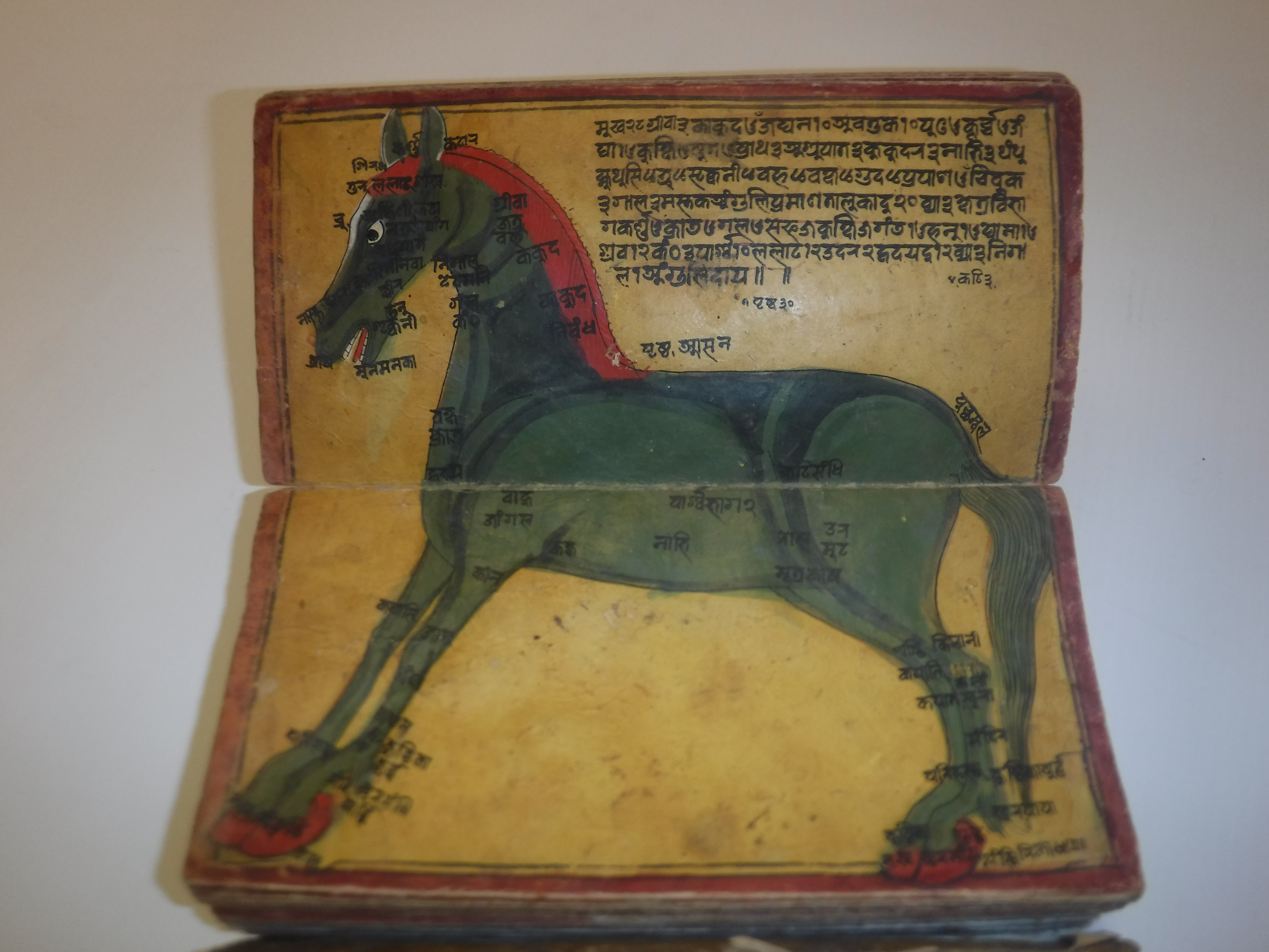 An 18th Century Nepalese Asvasastra or Treatise on the Nature and Illnesses of Horses, Leporello - Image 45 of 72