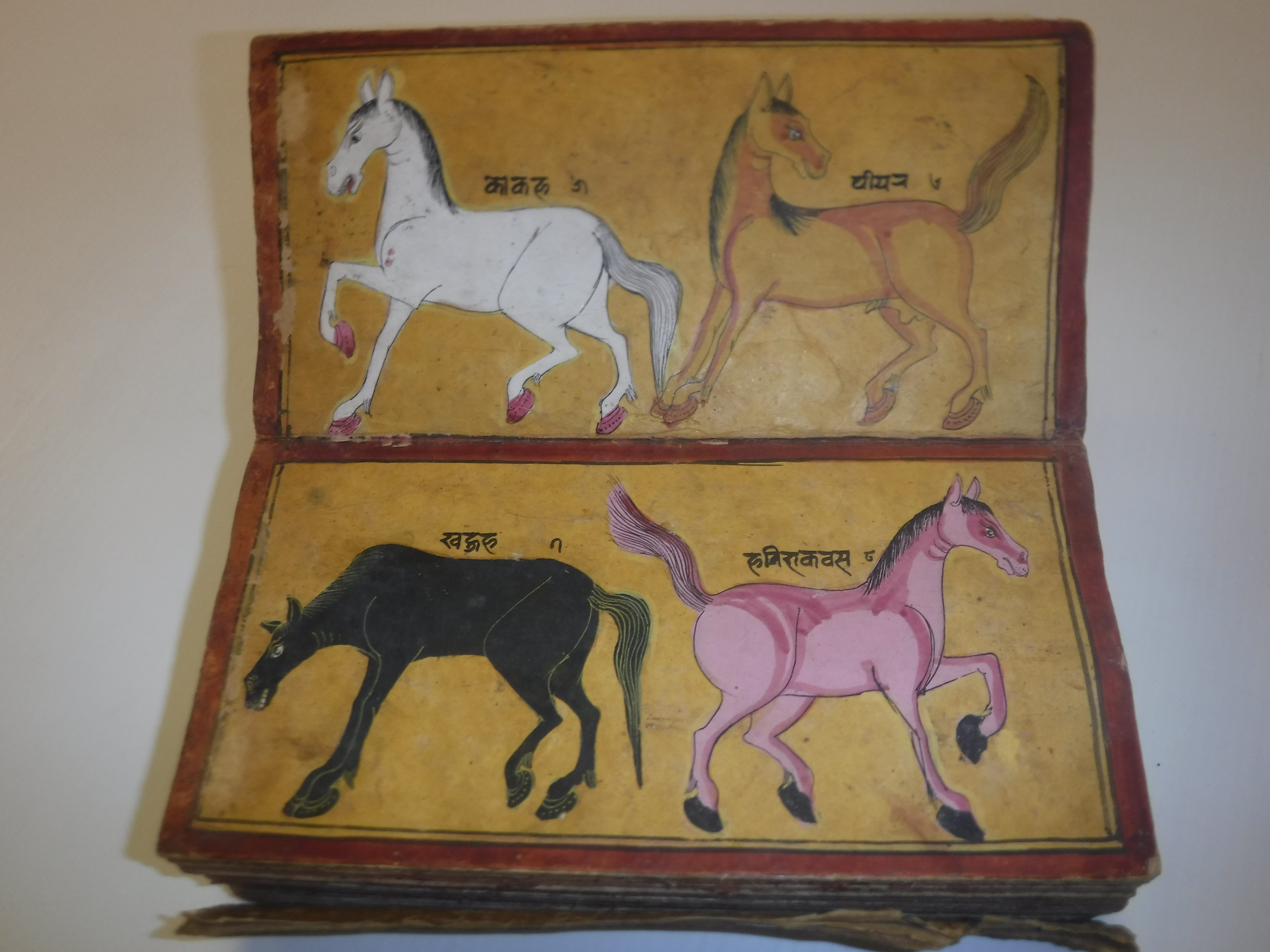 An 18th Century Nepalese Asvasastra or Treatise on the Nature and Illnesses of Horses, Leporello - Image 4 of 72