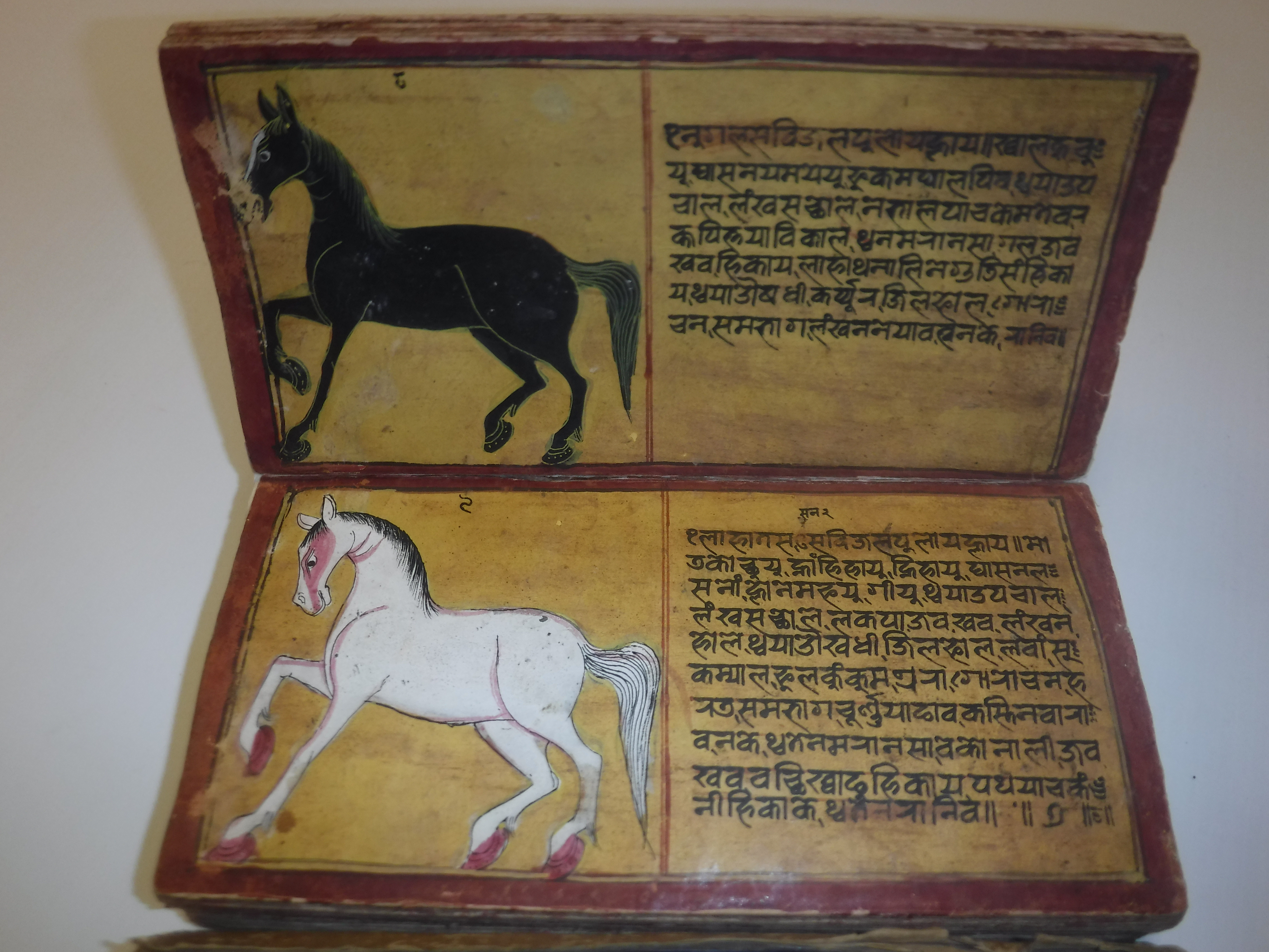 An 18th Century Nepalese Asvasastra or Treatise on the Nature and Illnesses of Horses, Leporello - Image 18 of 72