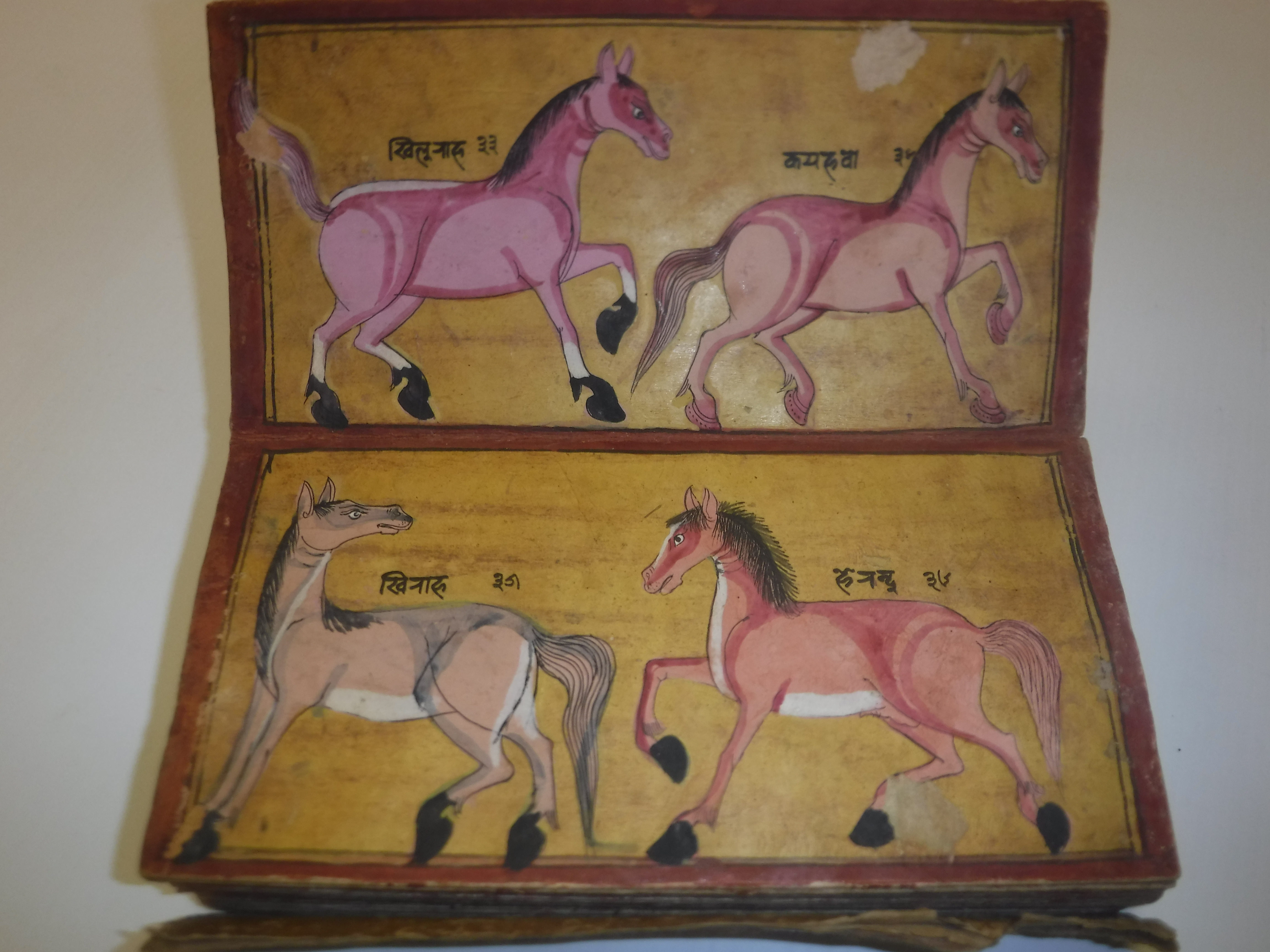 An 18th Century Nepalese Asvasastra or Treatise on the Nature and Illnesses of Horses, Leporello - Image 11 of 72