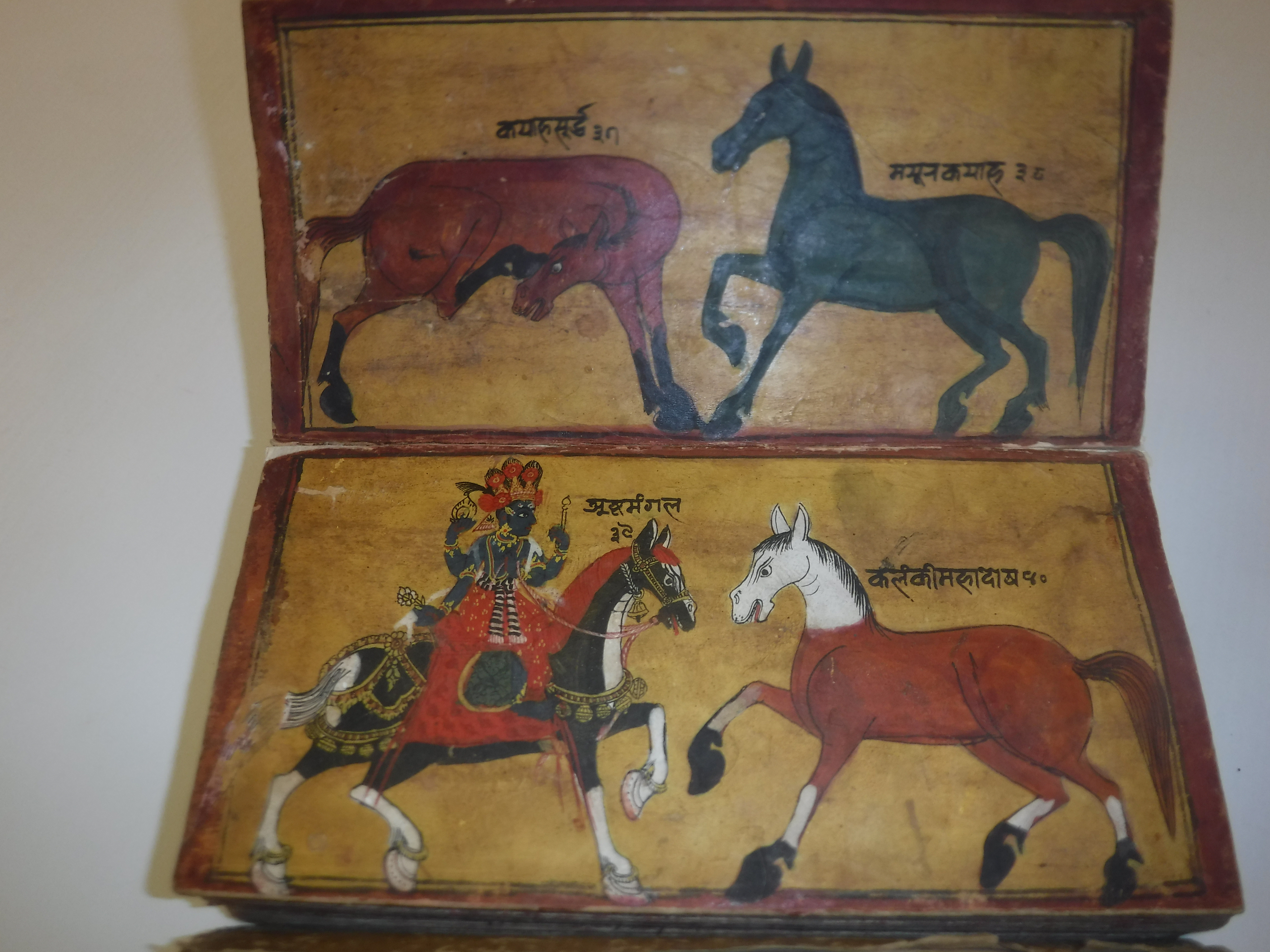 An 18th Century Nepalese Asvasastra or Treatise on the Nature and Illnesses of Horses, Leporello - Image 12 of 72