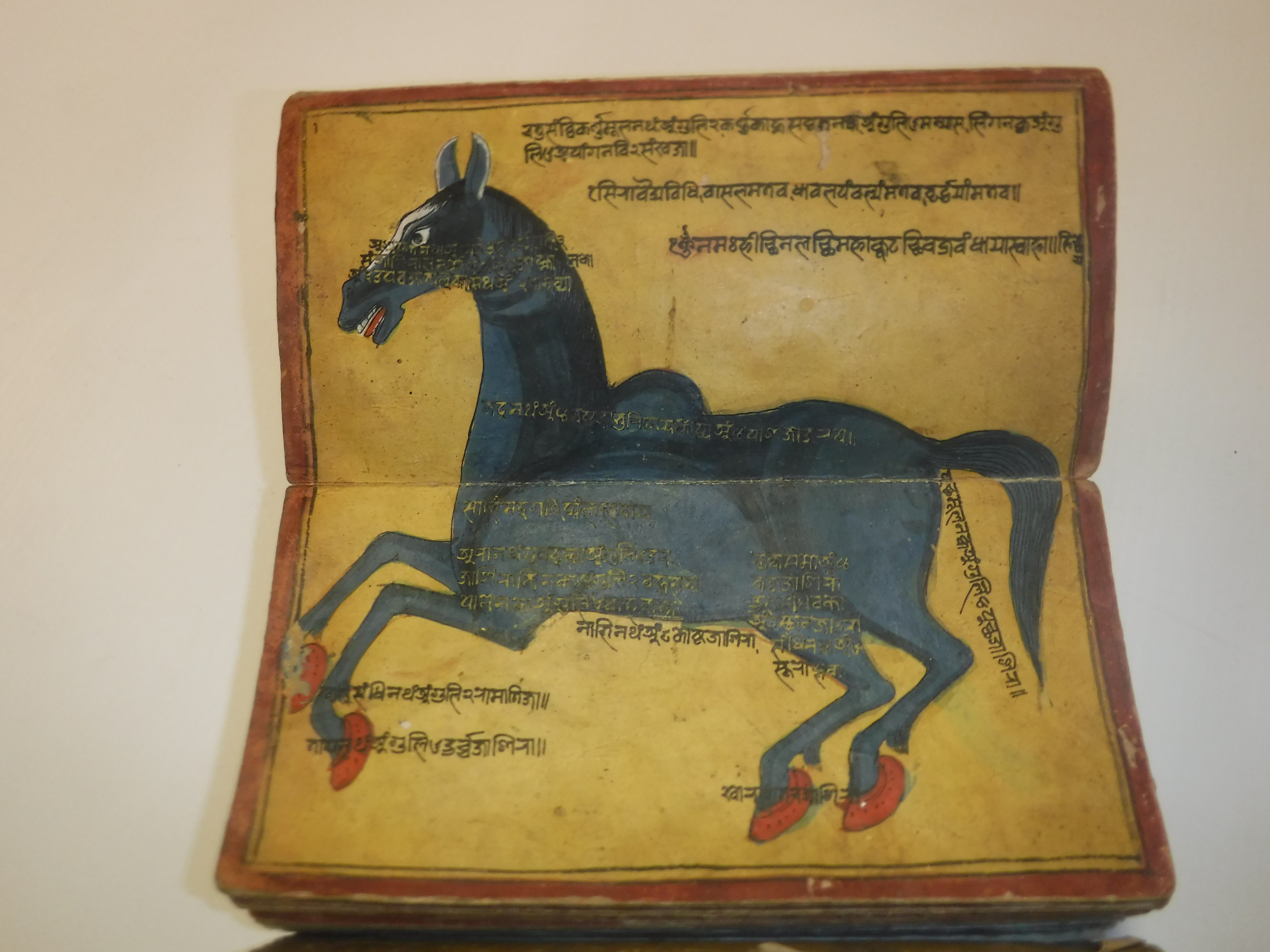 An 18th Century Nepalese Asvasastra or Treatise on the Nature and Illnesses of Horses, Leporello - Image 42 of 72