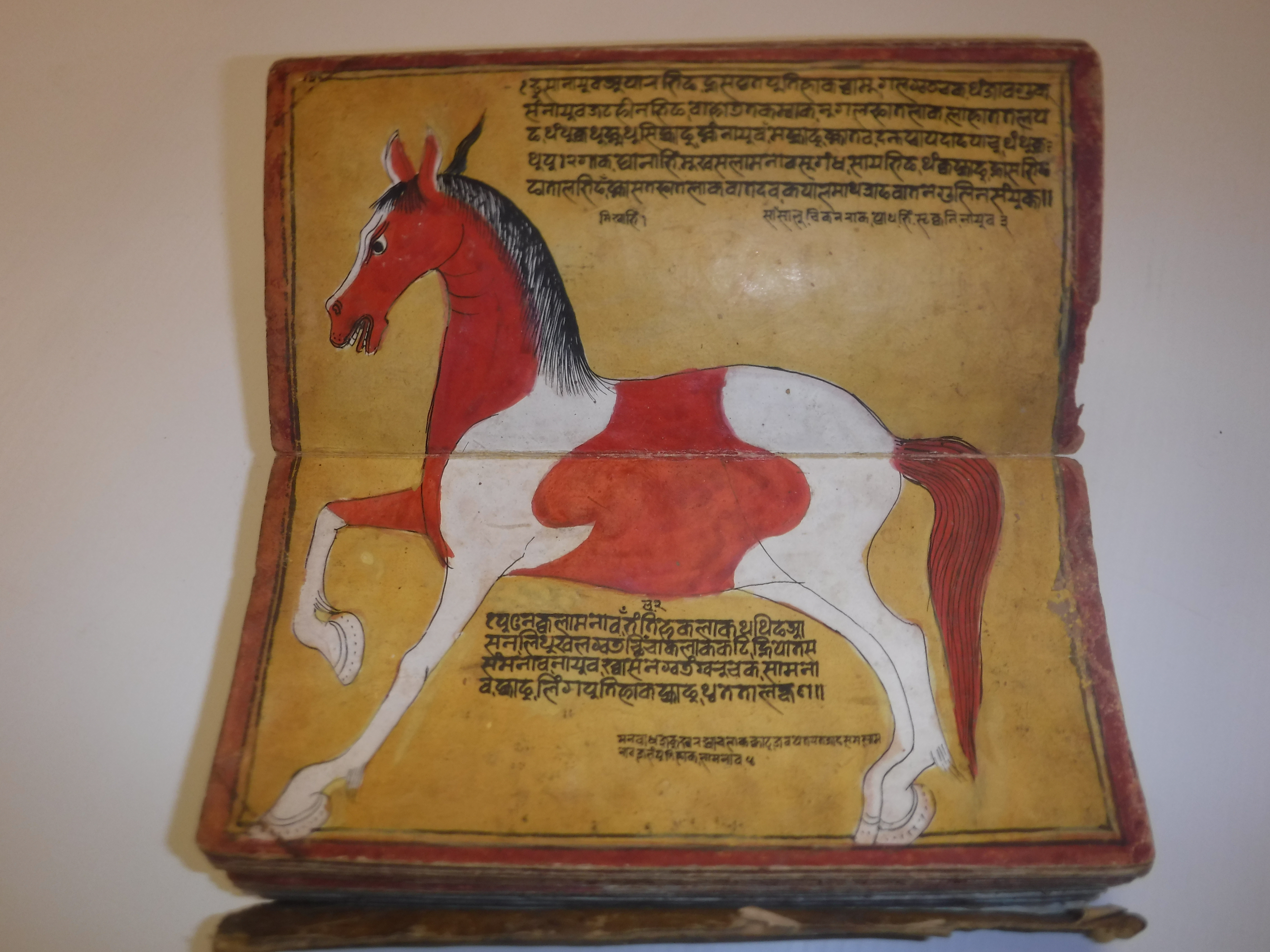 An 18th Century Nepalese Asvasastra or Treatise on the Nature and Illnesses of Horses, Leporello - Image 44 of 72