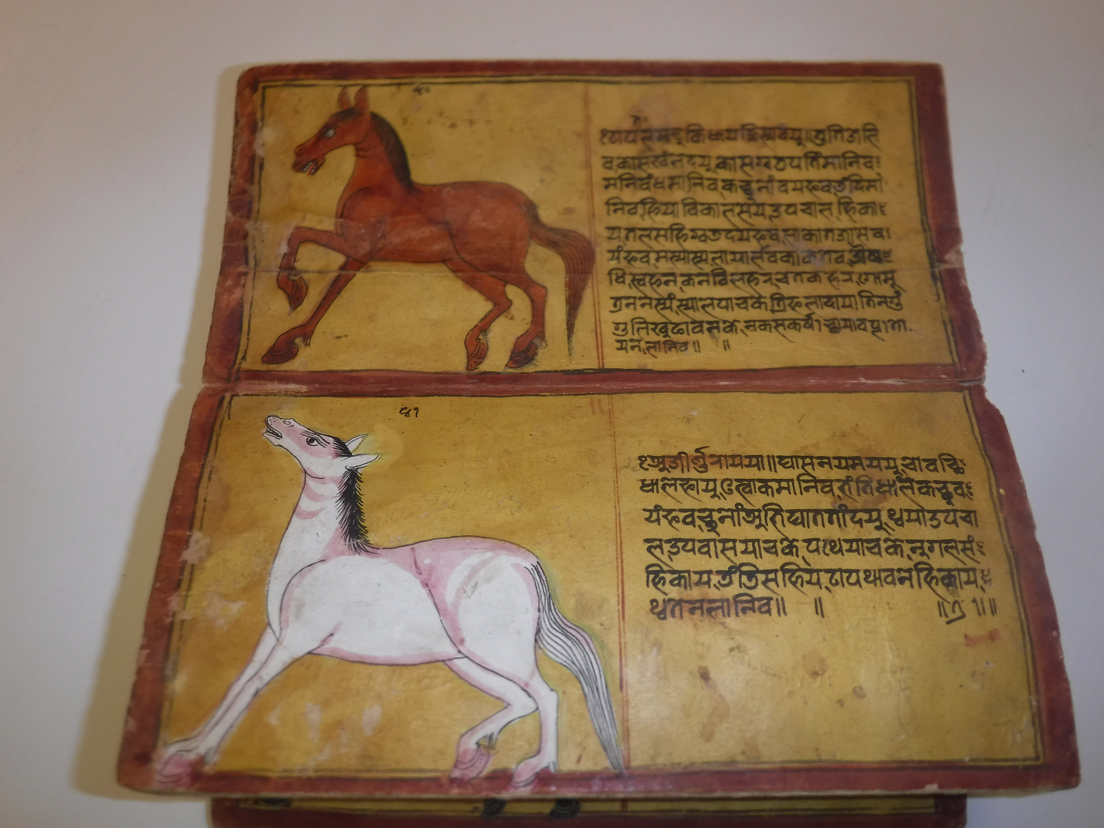 An 18th Century Nepalese Asvasastra or Treatise on the Nature and Illnesses of Horses, Leporello - Image 33 of 72