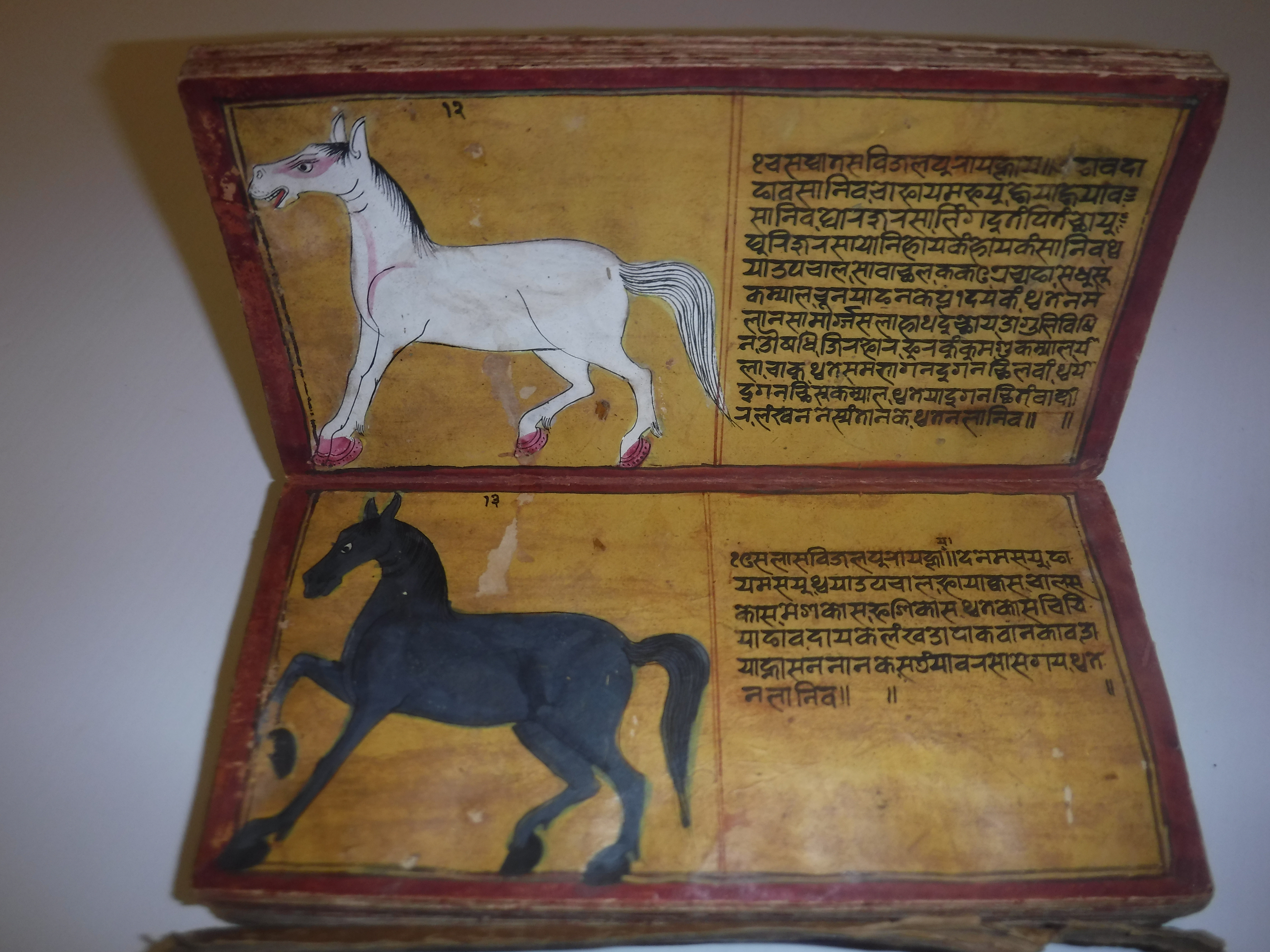 An 18th Century Nepalese Asvasastra or Treatise on the Nature and Illnesses of Horses, Leporello - Image 20 of 72