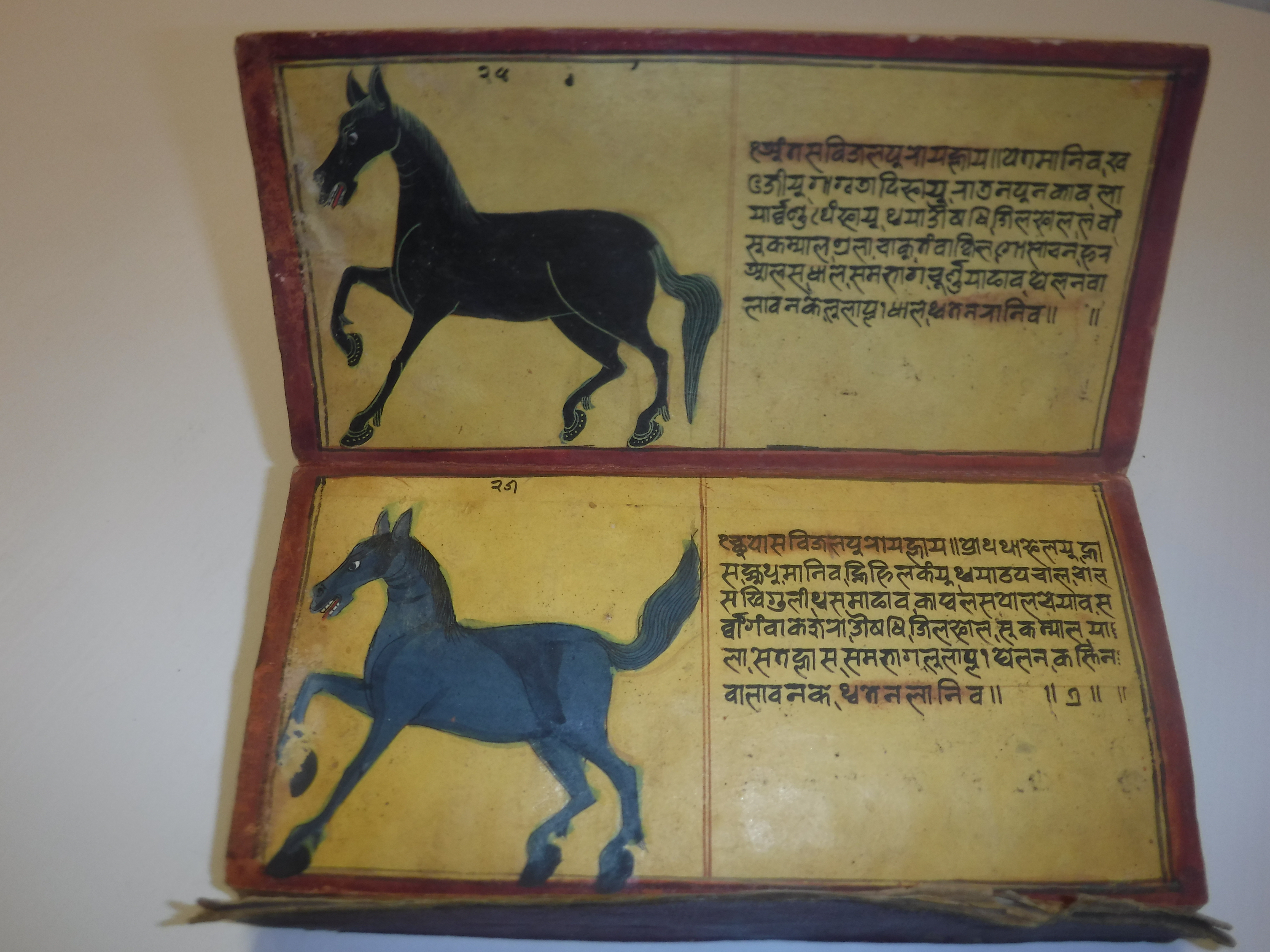 An 18th Century Nepalese Asvasastra or Treatise on the Nature and Illnesses of Horses, Leporello - Image 25 of 72