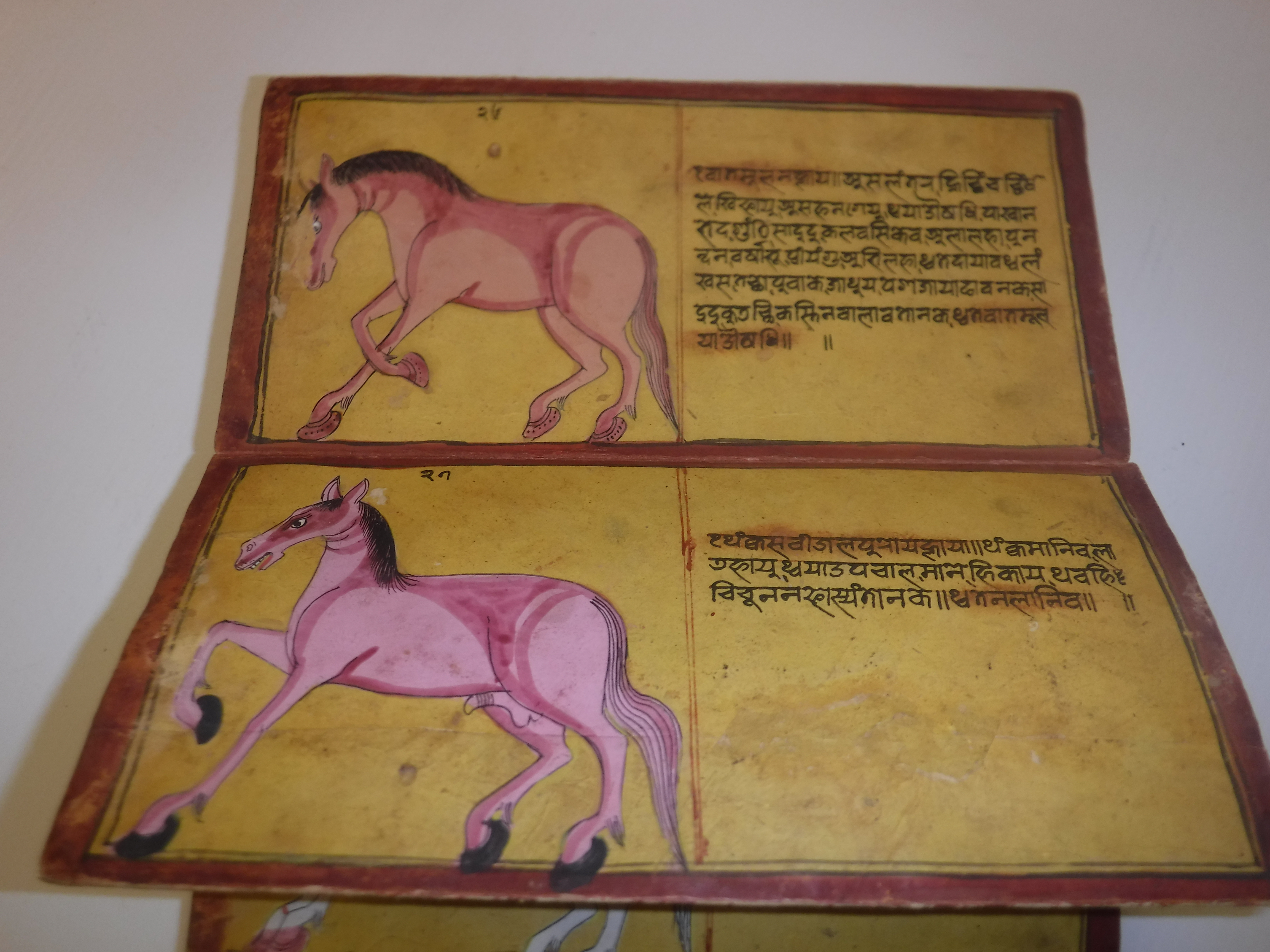 An 18th Century Nepalese Asvasastra or Treatise on the Nature and Illnesses of Horses, Leporello - Image 26 of 72