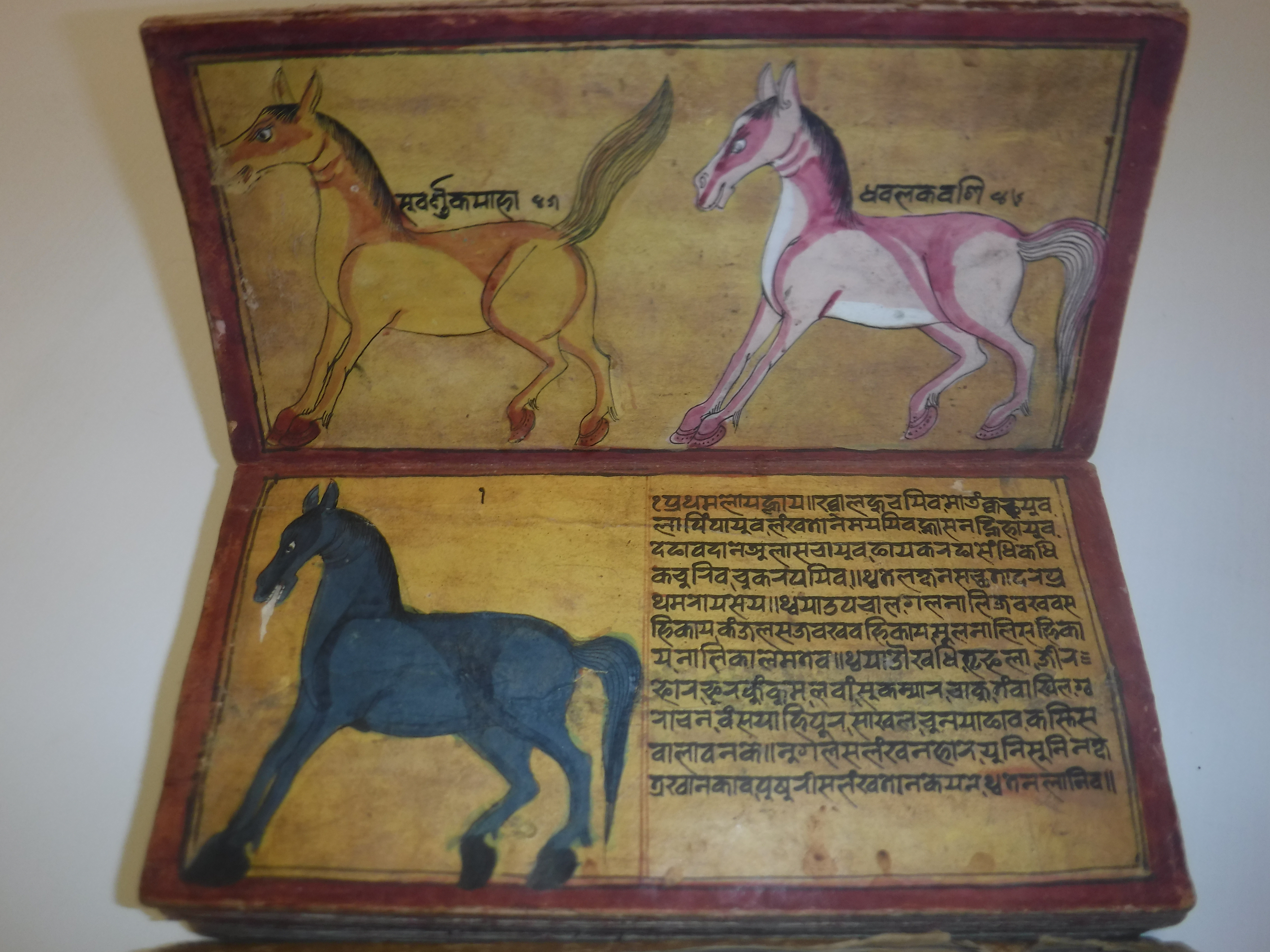 An 18th Century Nepalese Asvasastra or Treatise on the Nature and Illnesses of Horses, Leporello - Image 14 of 72