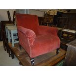 A circa 1900 upholstered scroll arm chair on cabriole front legs to castors, 73 cm wide x 67 cm deep