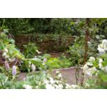 Gardening time - 3 hours of general gardening work in Cirencester or nearby-John Plant
