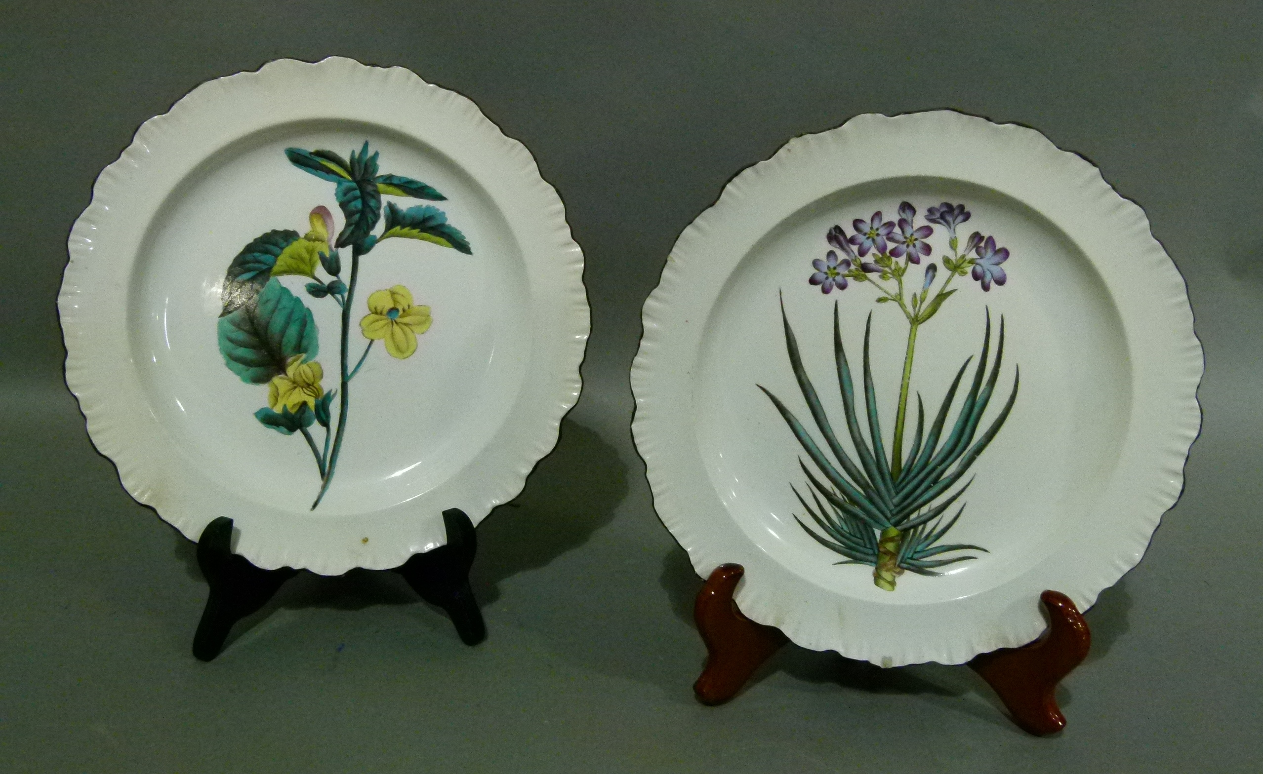 A pair of 19th century Cauldon shaped circular plates, each printed and painted with floral sprays - Image 2 of 3