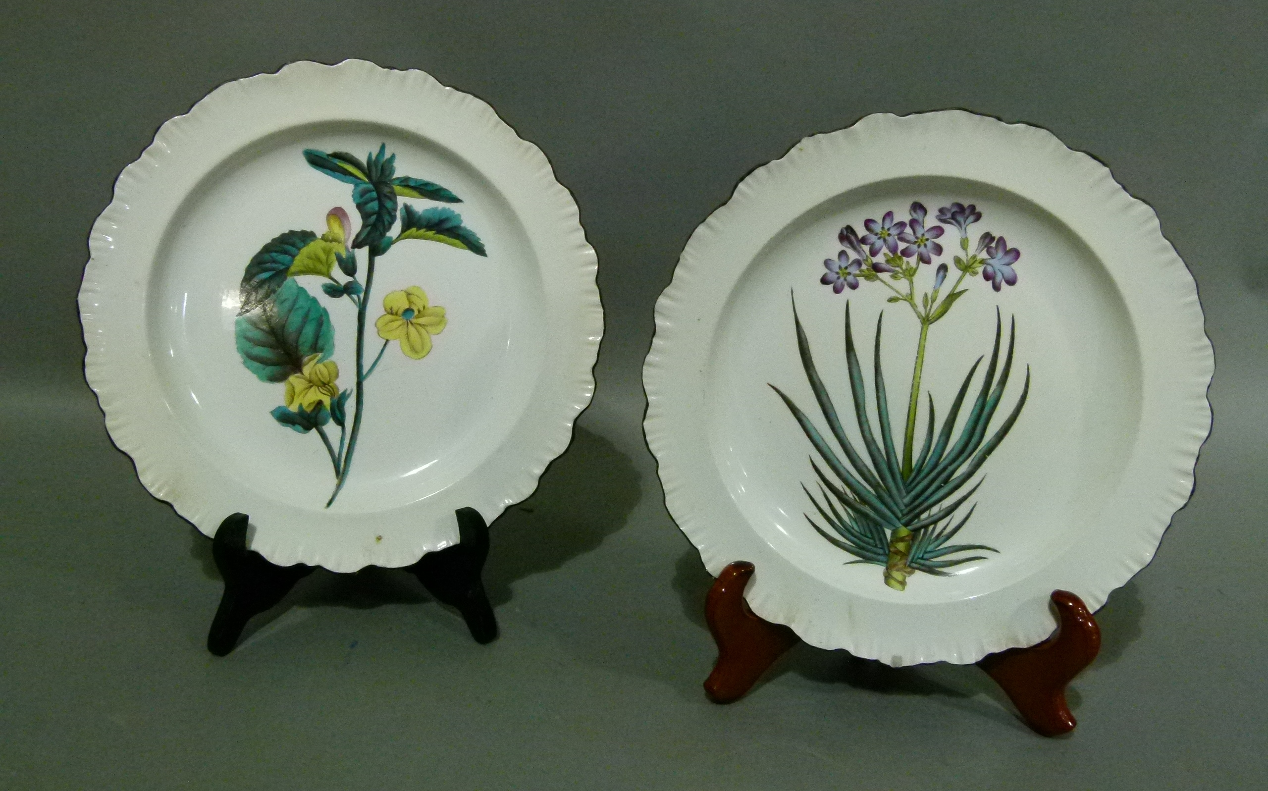 A pair of 19th century Cauldon shaped circular plates, each printed and painted with floral sprays