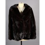 A dark mink jacket with rever collar