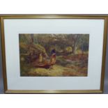 After Archibald Thorburn, colour print of pheasant cock and hen in a woodland setting, 581/850, 33cm