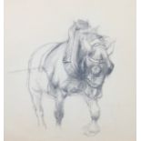 ARR DAME LUCY E KEMP-WELCH (1869-1958) 'The Labourer', study of a shire horse, in pencil,