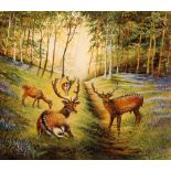 ELIZABETH GARNETT-ORME (Contemporary), 'Fallow Deer', Stags and hind in bluebell woods, gouache,