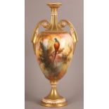 A ROYAL WORCESTER TWO HANDLED VASE, signed Sedgley, painted with hen and cock pheasant perched on
