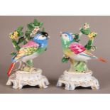 A PAIR OF CONTINENTAL PORCELAIN FIGURES modelled as a pair of colourful songbirds before leaf and