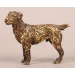 A BRONZE FIGURE OF A DOG with collar, realistically modelled, 10cm long approx x 8cm high