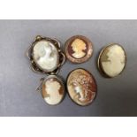 Three shell cameo brooches, c. late 19th century/mid 20th century, two in base metal settings, one