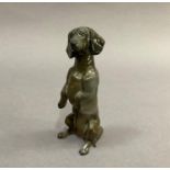 A Rosenthal figure of a Dachshund sitting upright on his hind legs, approximately 12cm