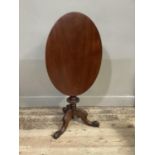 A Victorian mahogany oval tripod table with oval tray top on turned column and three acanthus carved